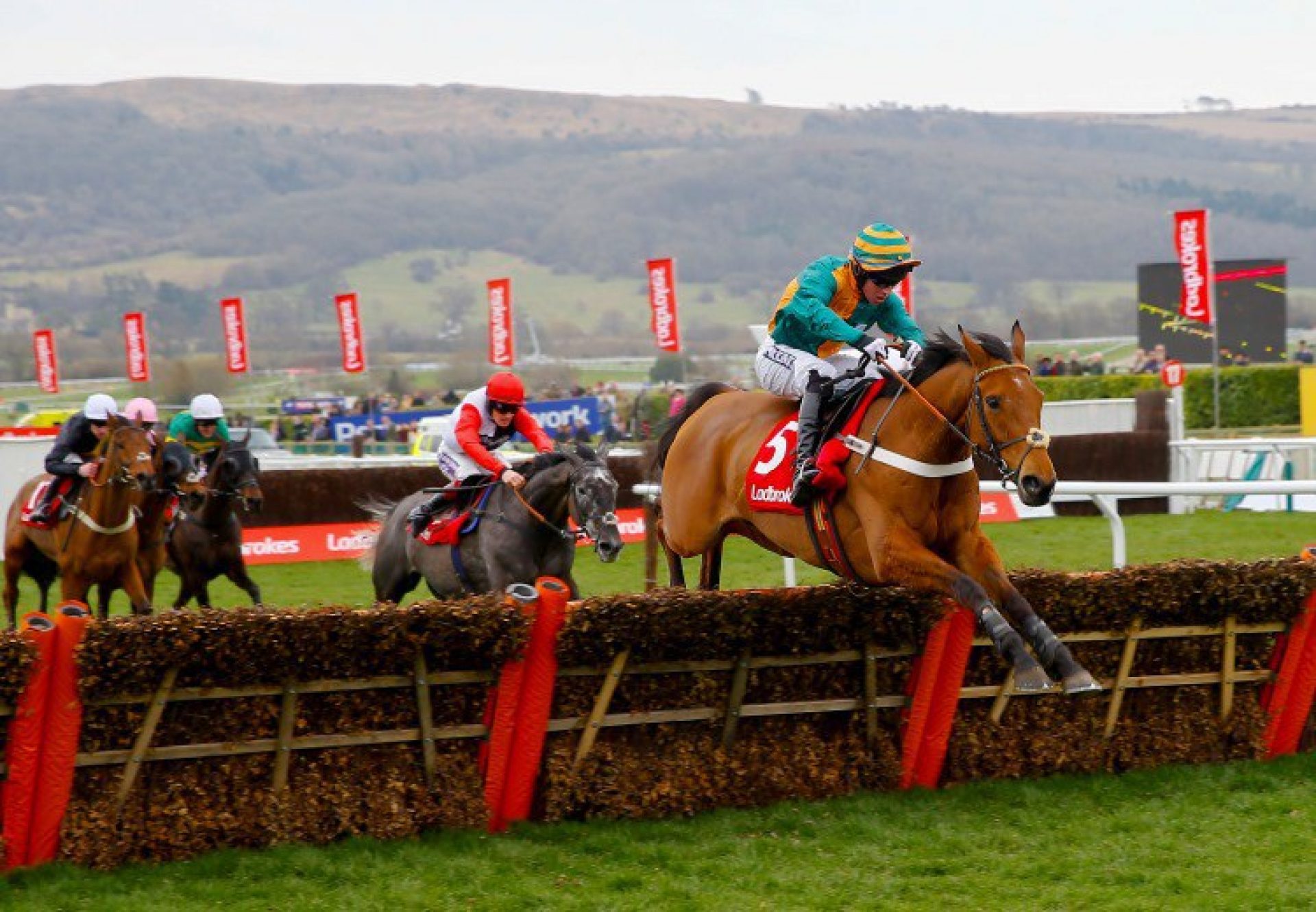 Cole Harden (Westerner) winning at Cheltenham