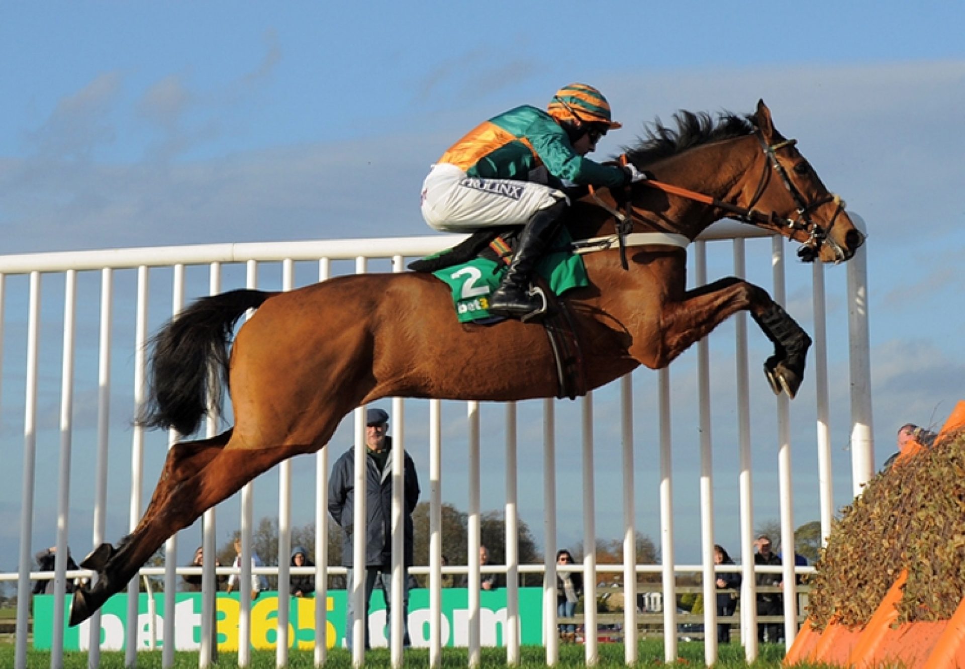 Cole Harden (Westerner)