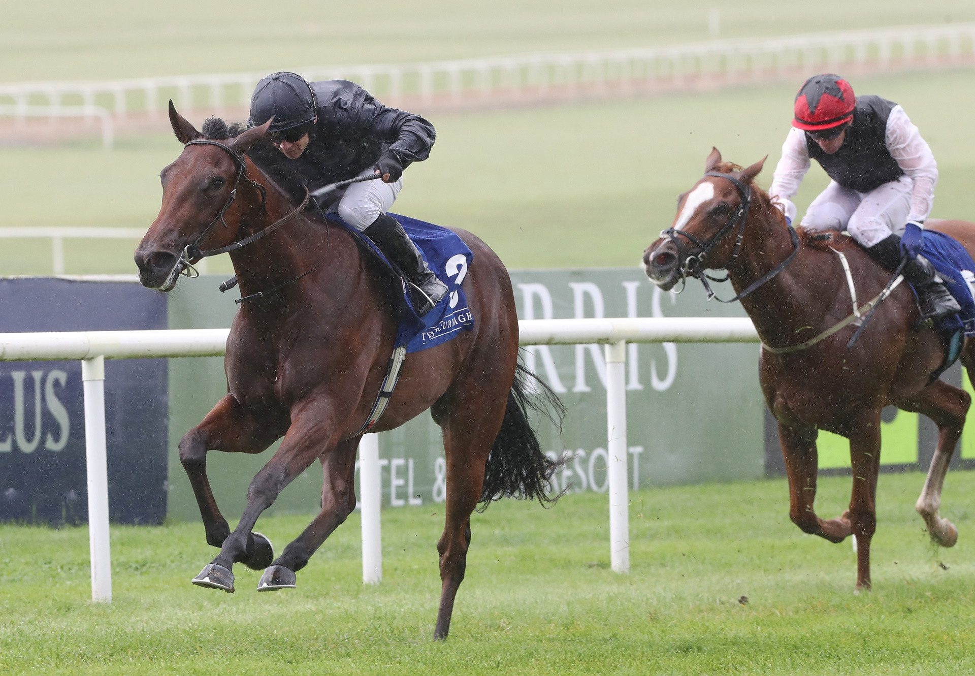 Composing (wootton bassett) Curragh