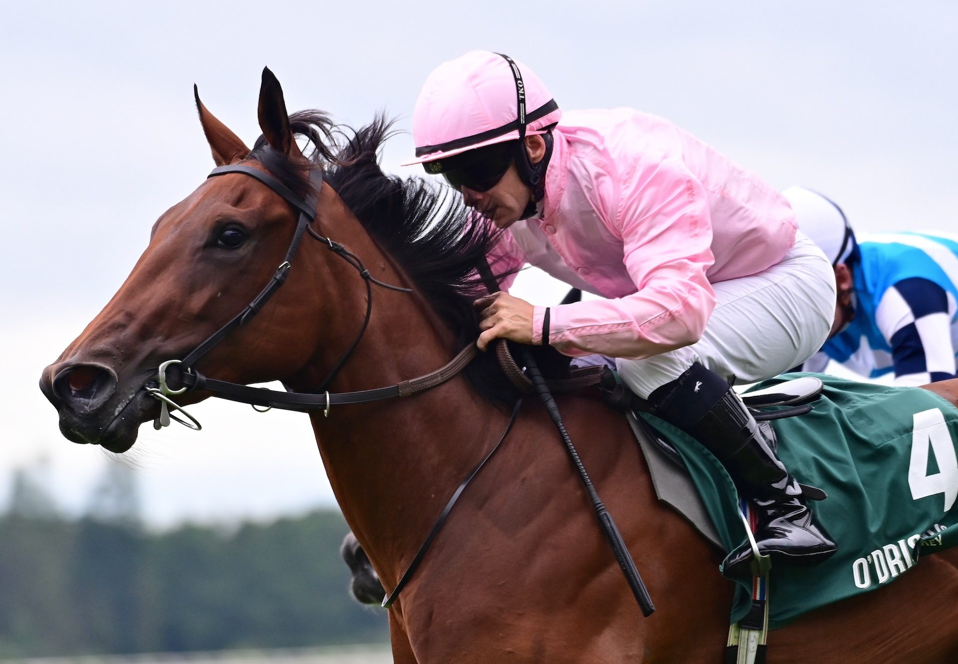 Composing (wootton bassett) Wins Her Maiden At The Curragh