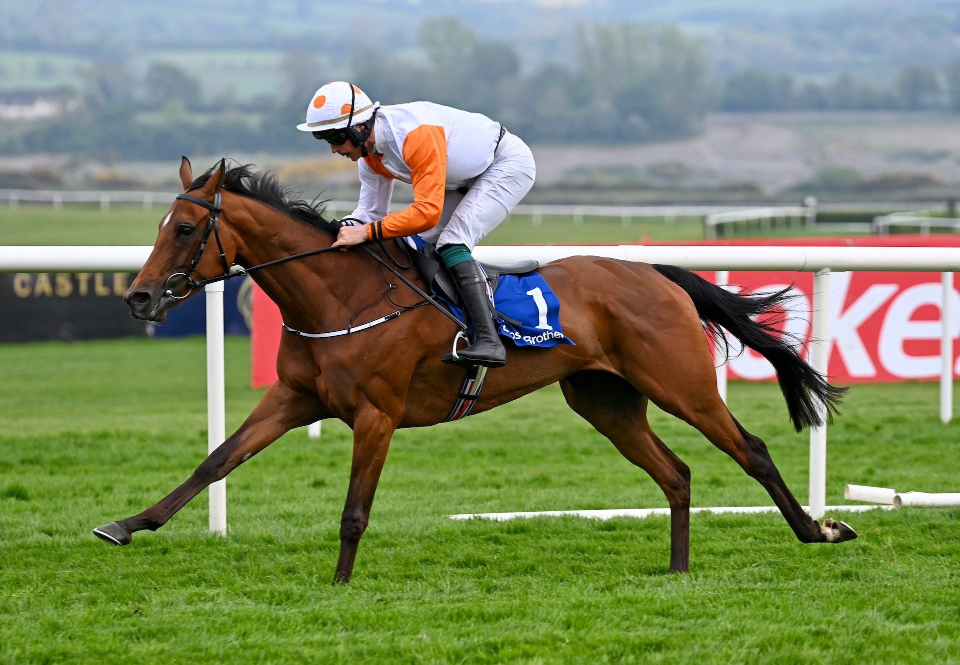 Cottesloe Sunshine (getaway) Wins The Listed Mares Novice Hurdle At Punchestown