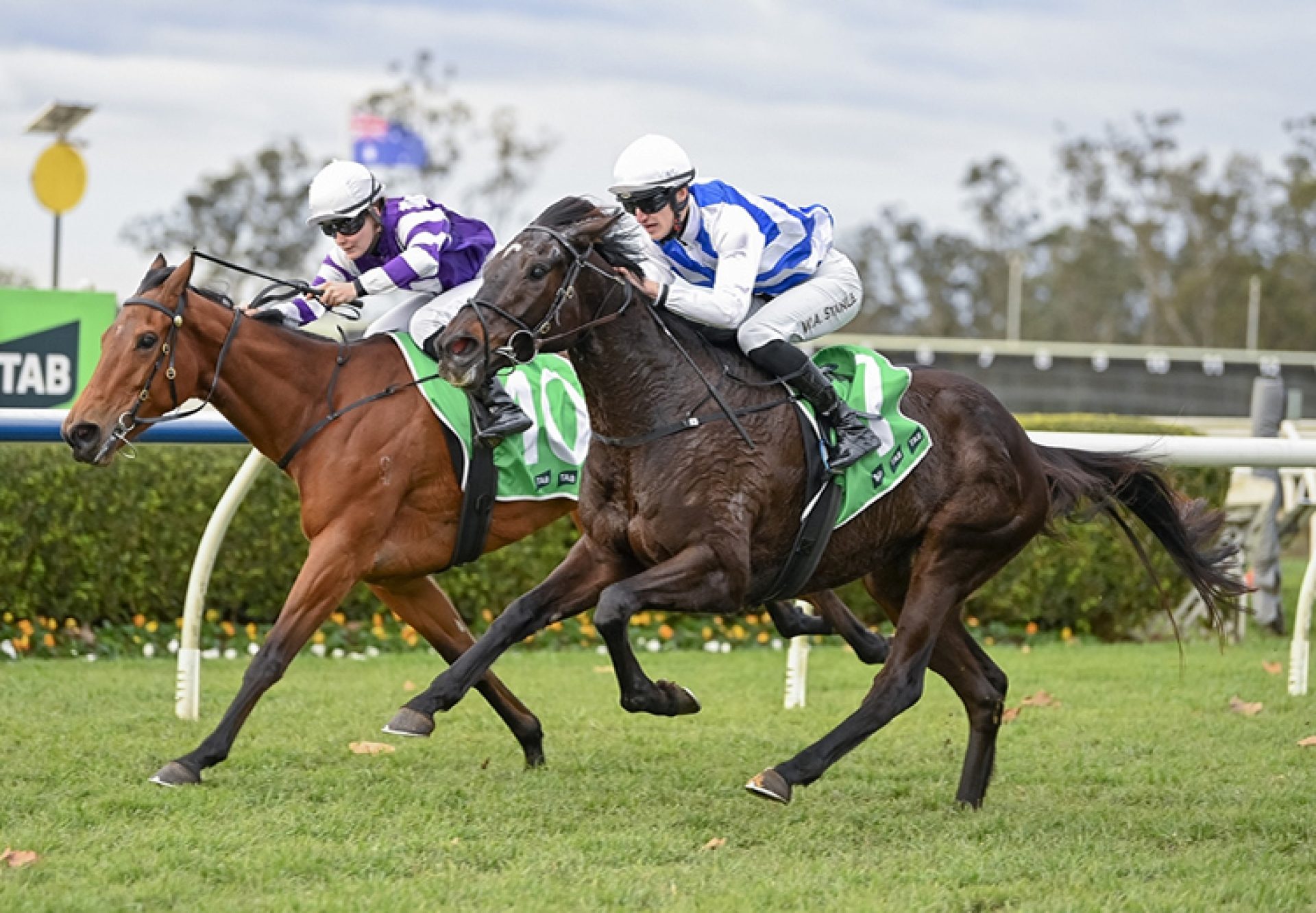 Covert Thinking (So You Think) Warwick Farm