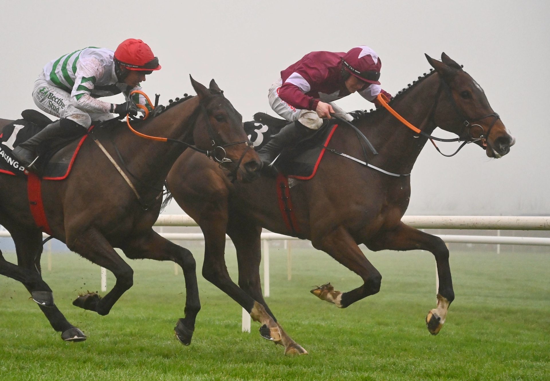 Croke Park (Walk In The Park) Wins The Grade 1 Long Distance Novice Chase At Leopardstown