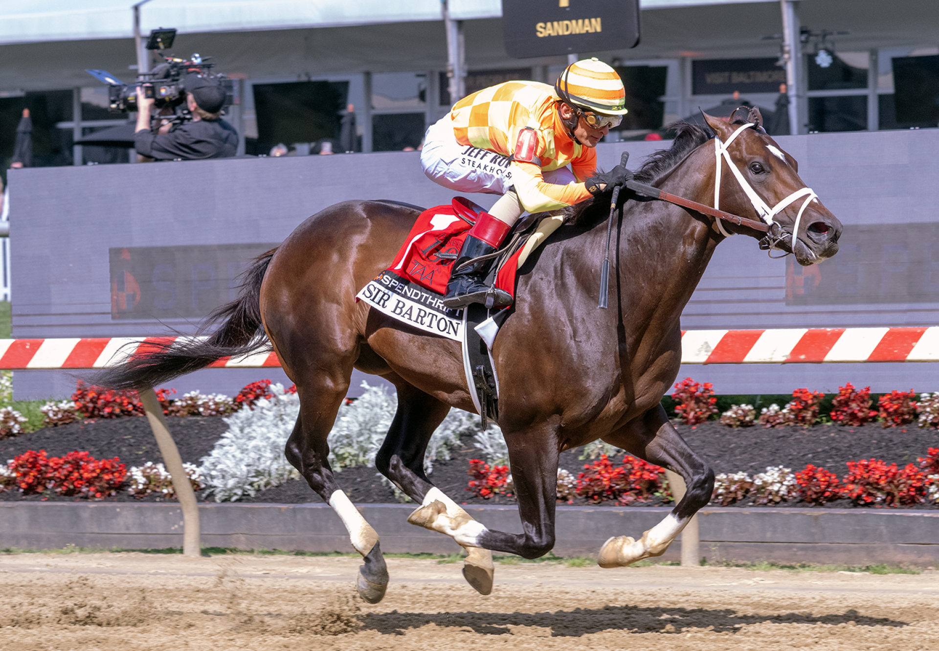 Crudo (Justify) Wins Sir Barton