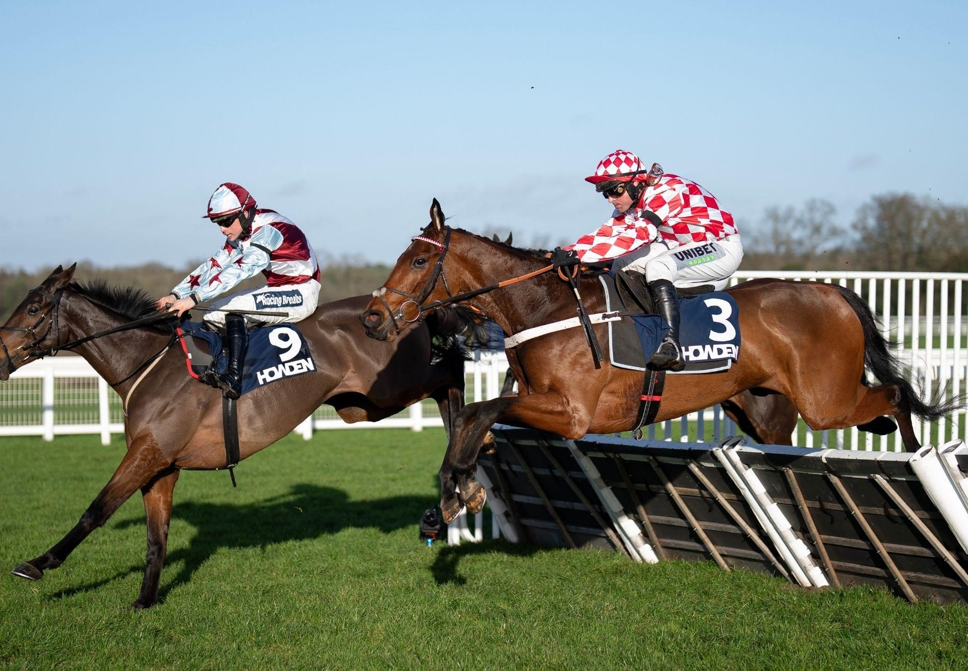 Crystal Island Crystal Ocean Ascot