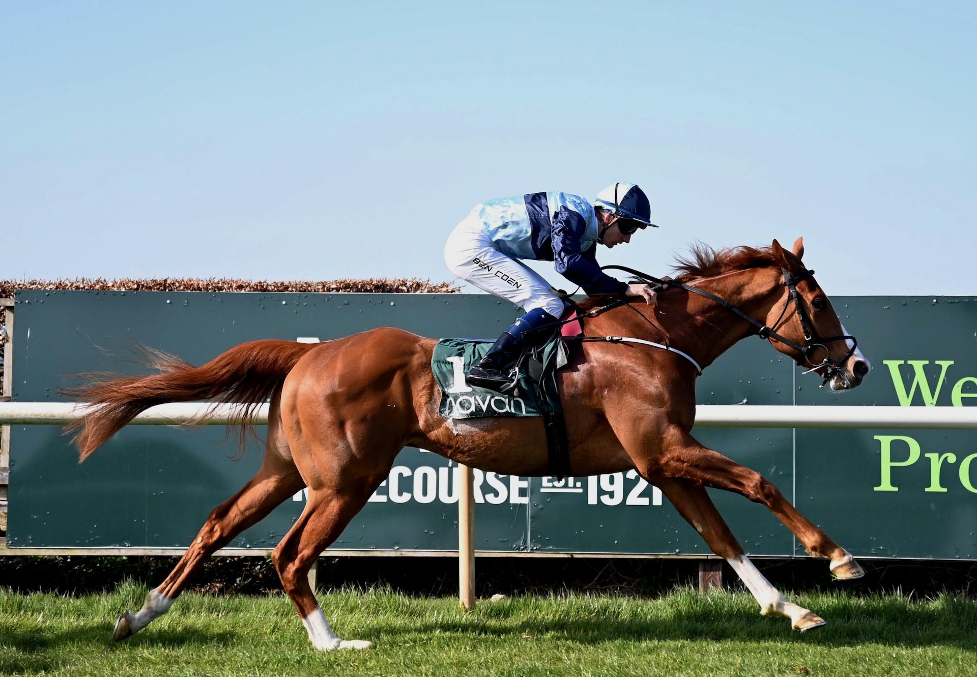 Dakota Blue (Sioux Nation) Wins At Navan