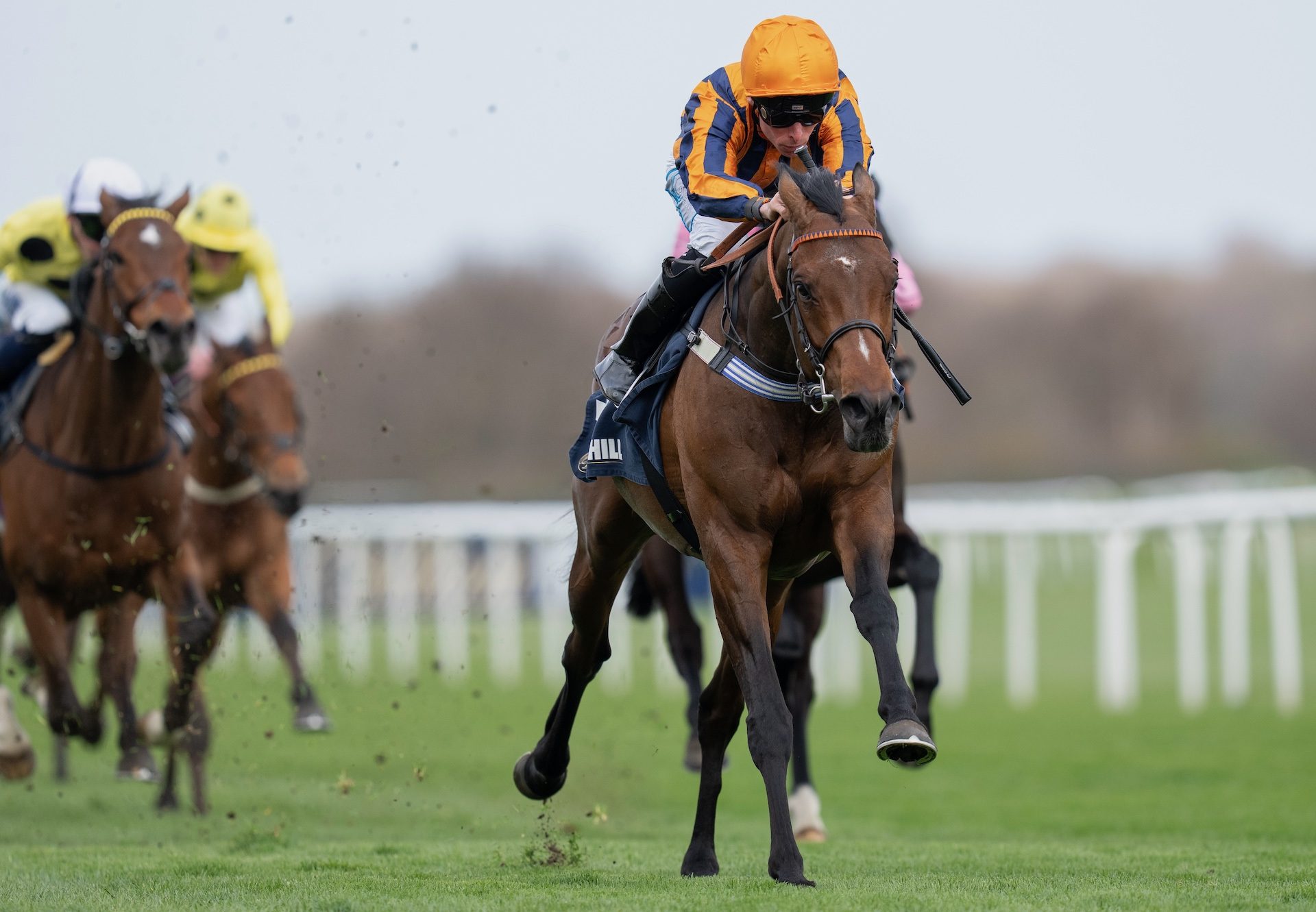 Dancing Gemini (Camelot) Wins The Doncaster Mile