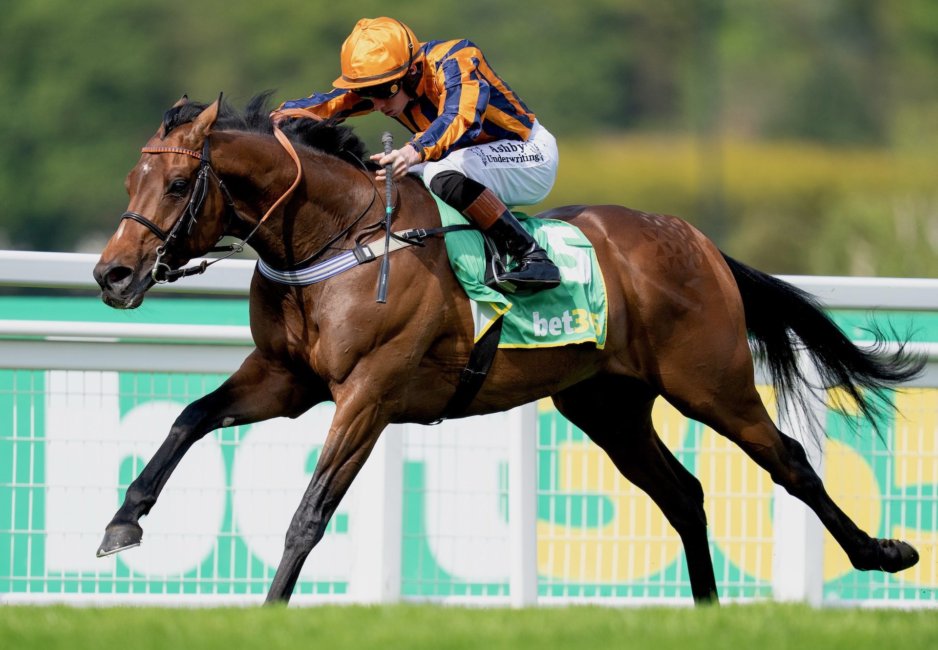 Dancing Gemini (Camelot) Wins The Group 2 Bet365 Mile