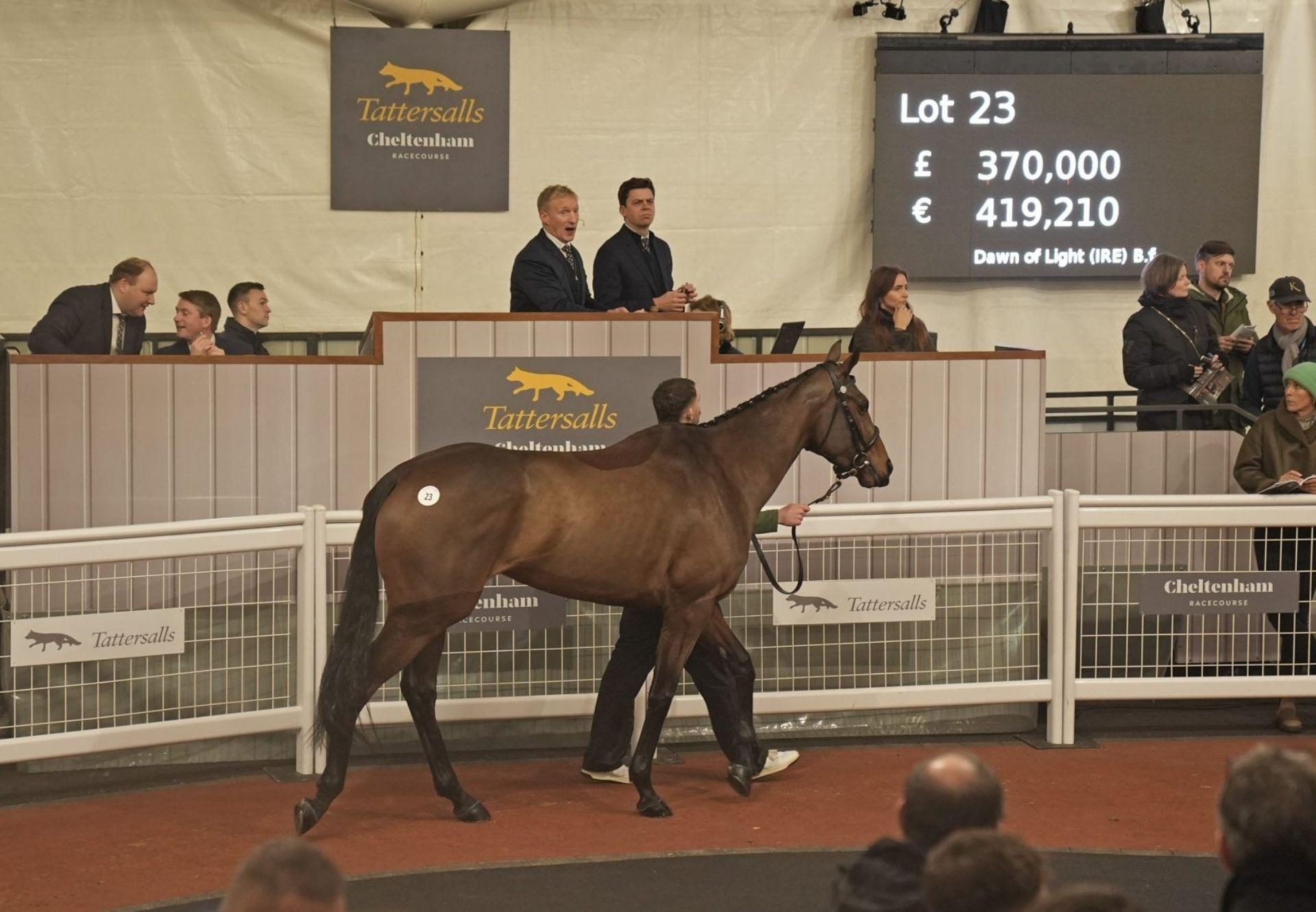 Dawn Of Light Mahler Tattersalls Cheltenham