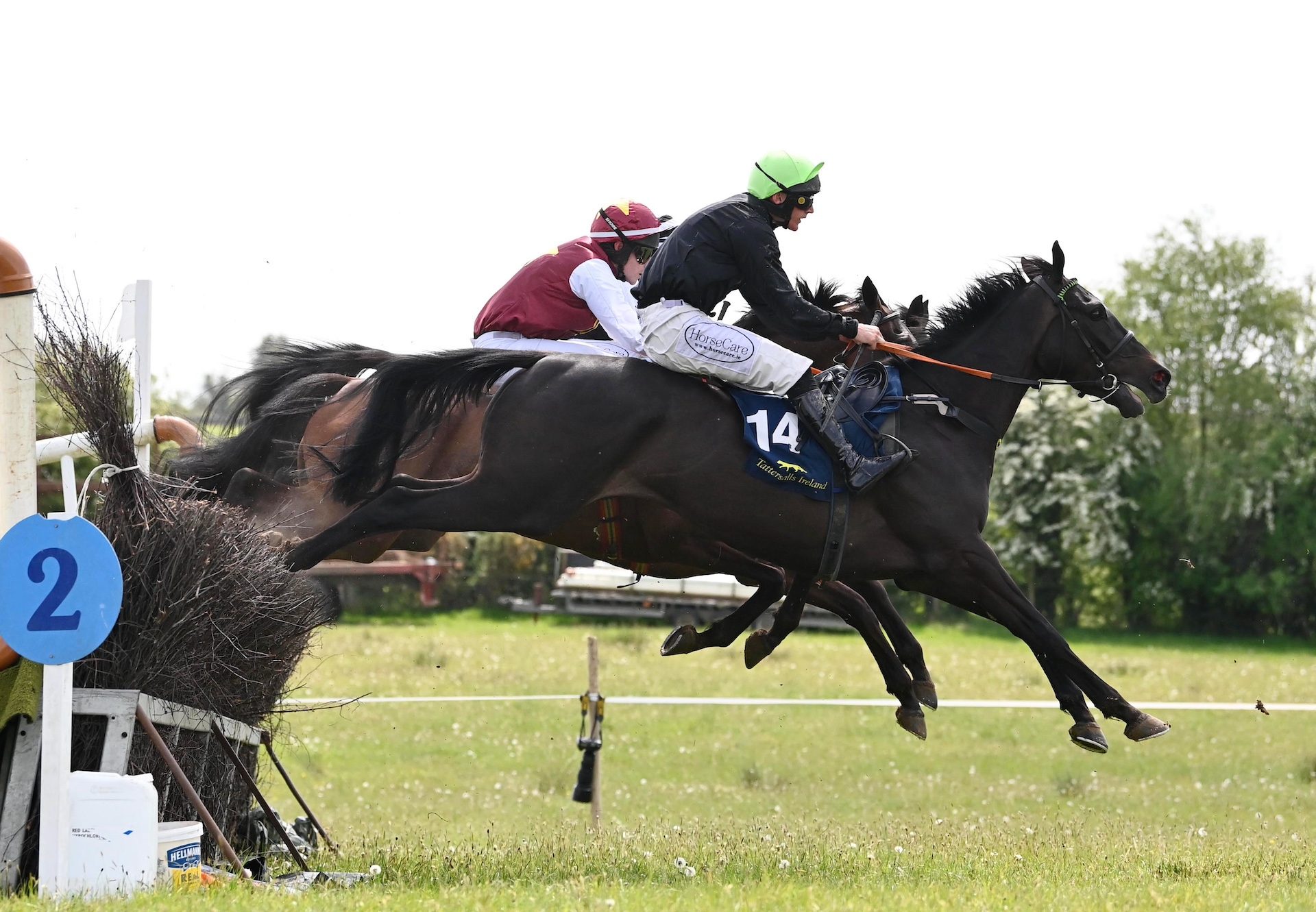 Daylatedollarshort (wings of eagles) Loughrea