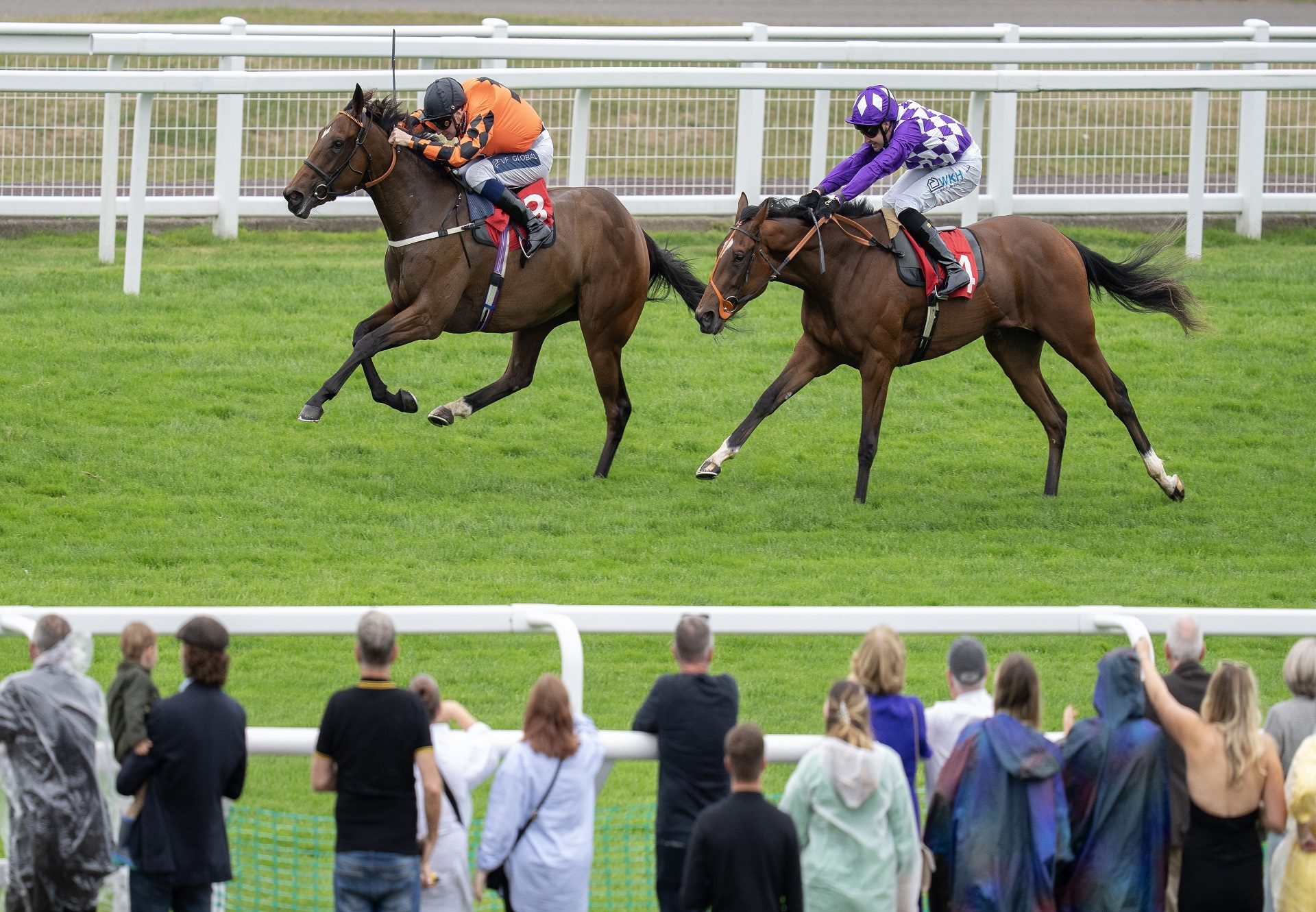 Deedaydiva (Churchill) Sandown