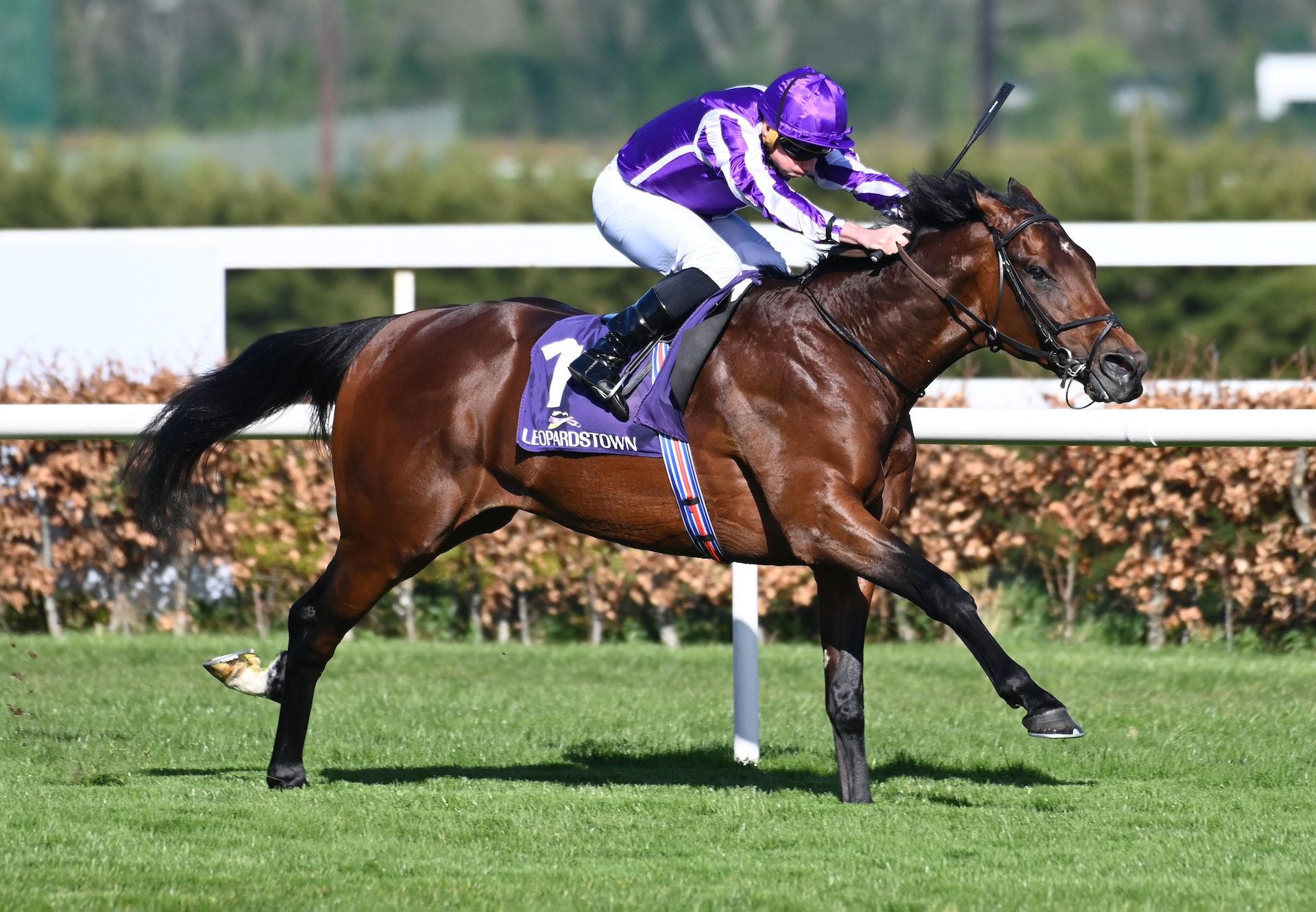 Delacroix Wins The Ballysax Stakes At Leopardstown