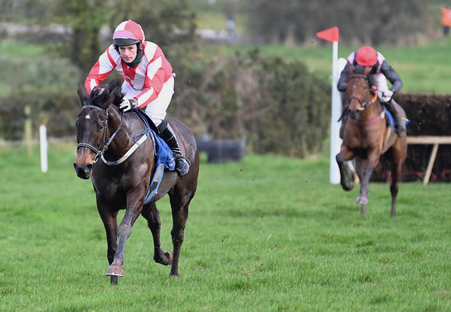 Desert Fortune (Soldier Of Fortune) Lands The 5YO Mares Maiden At Ballindenisk