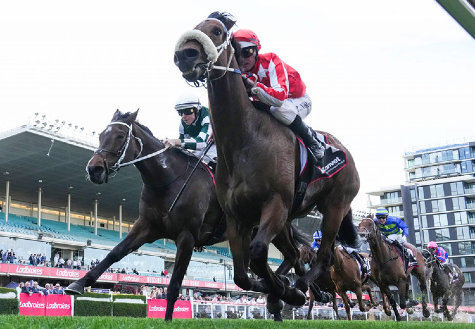 Desert Lightning (pride of dubai) Syt 750