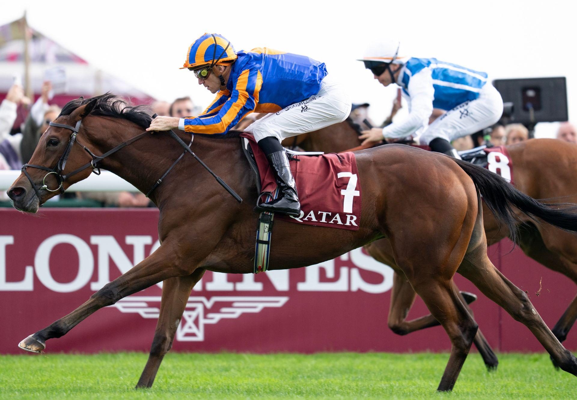 Diamond Necklace St Marks Basilica Longchamp