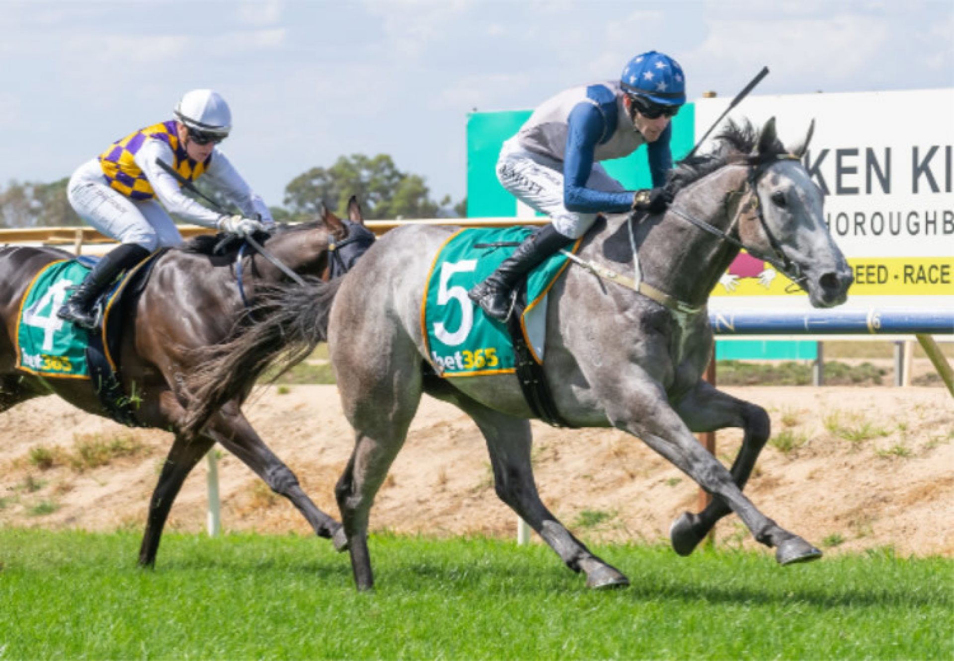 Do You Think So (So You Think) winning at Benalla