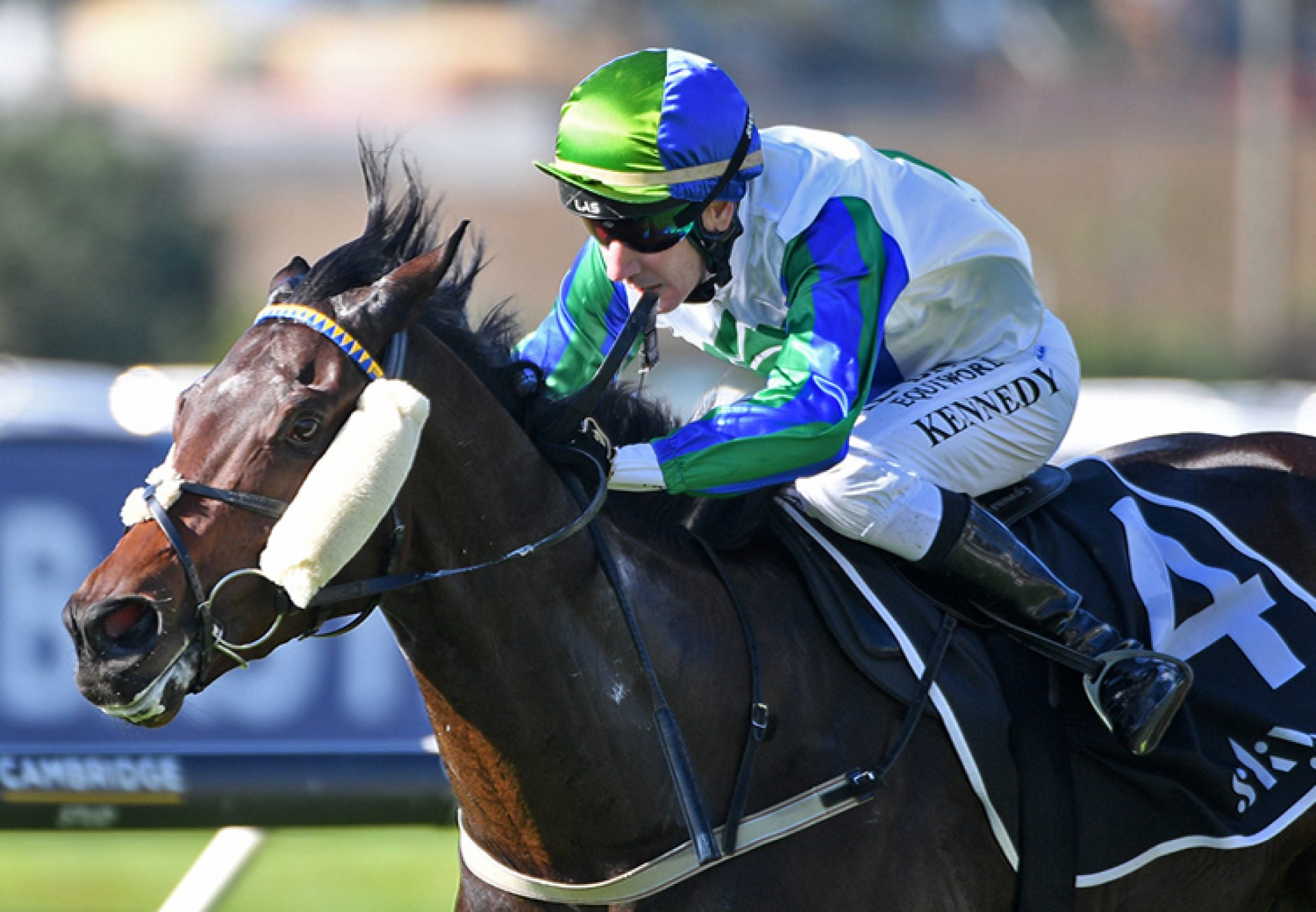 Do You Just (so you think) Kenton Wright 750