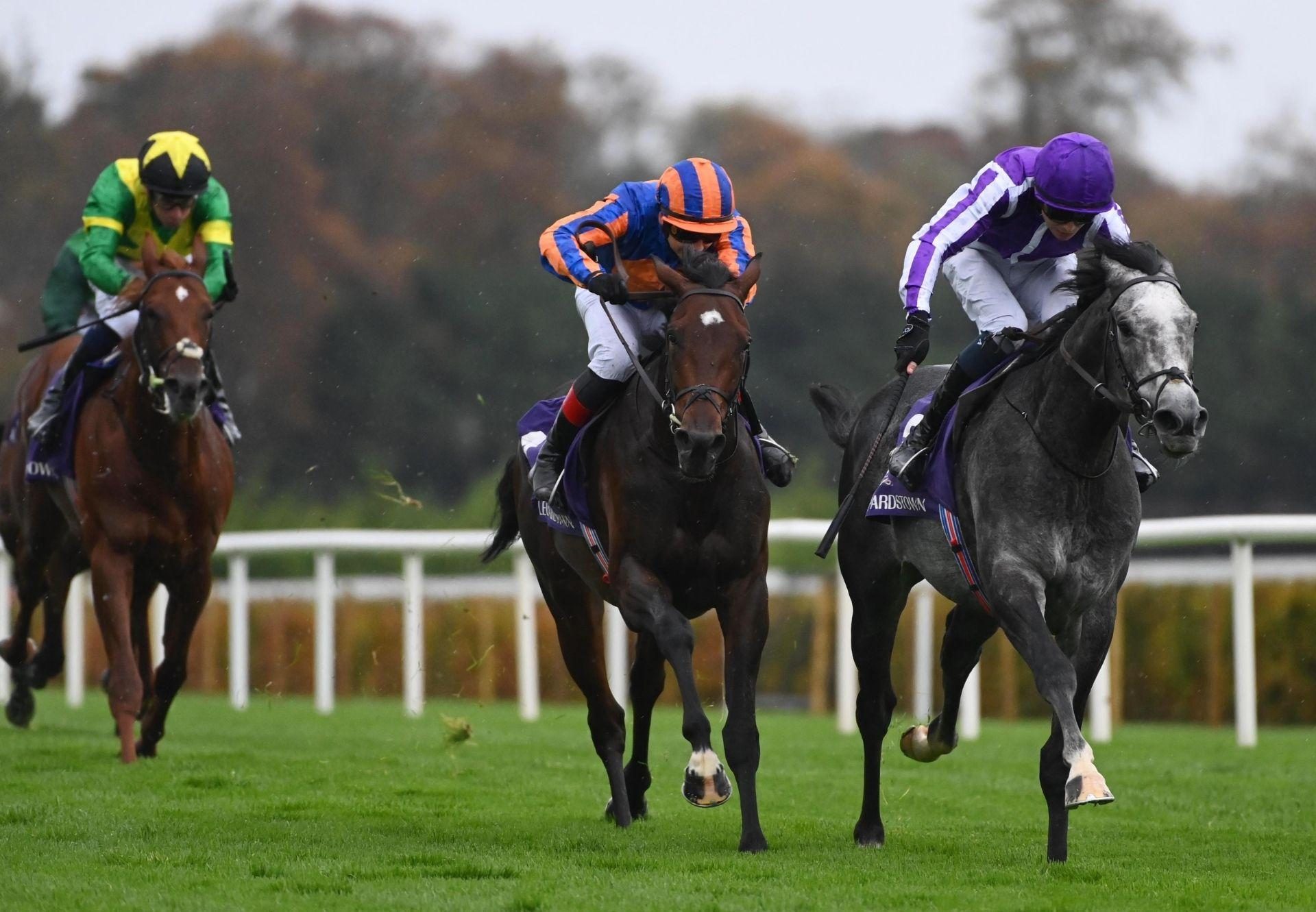 Dorset Wootton Bassett Leopardstown