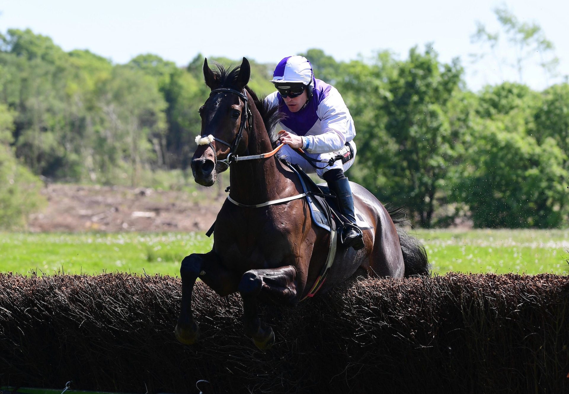 Doubly Blessed (vadamos) Impresses On Debut At Necarne