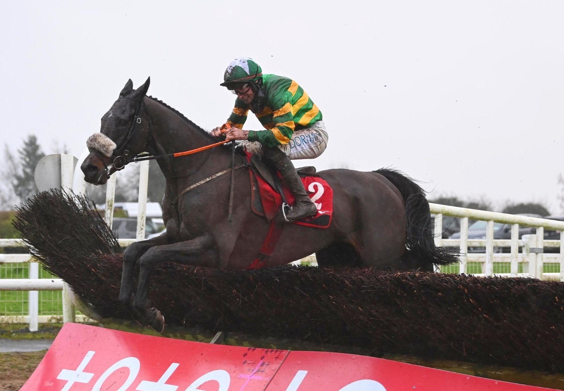 Down Memory Lane Walk In The Park Navan