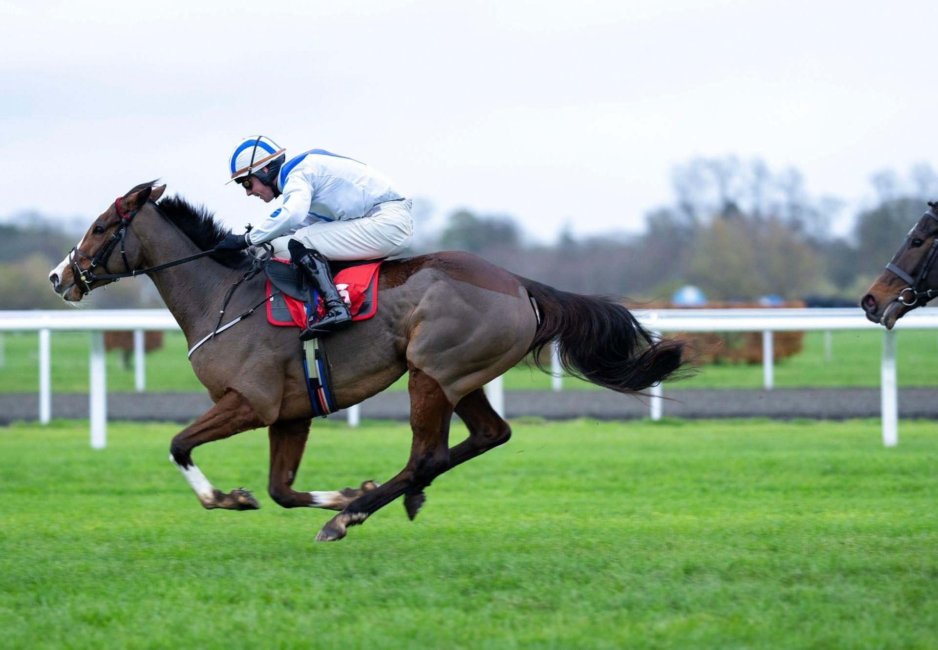 Dream On Baby Walk In The Park Kempton