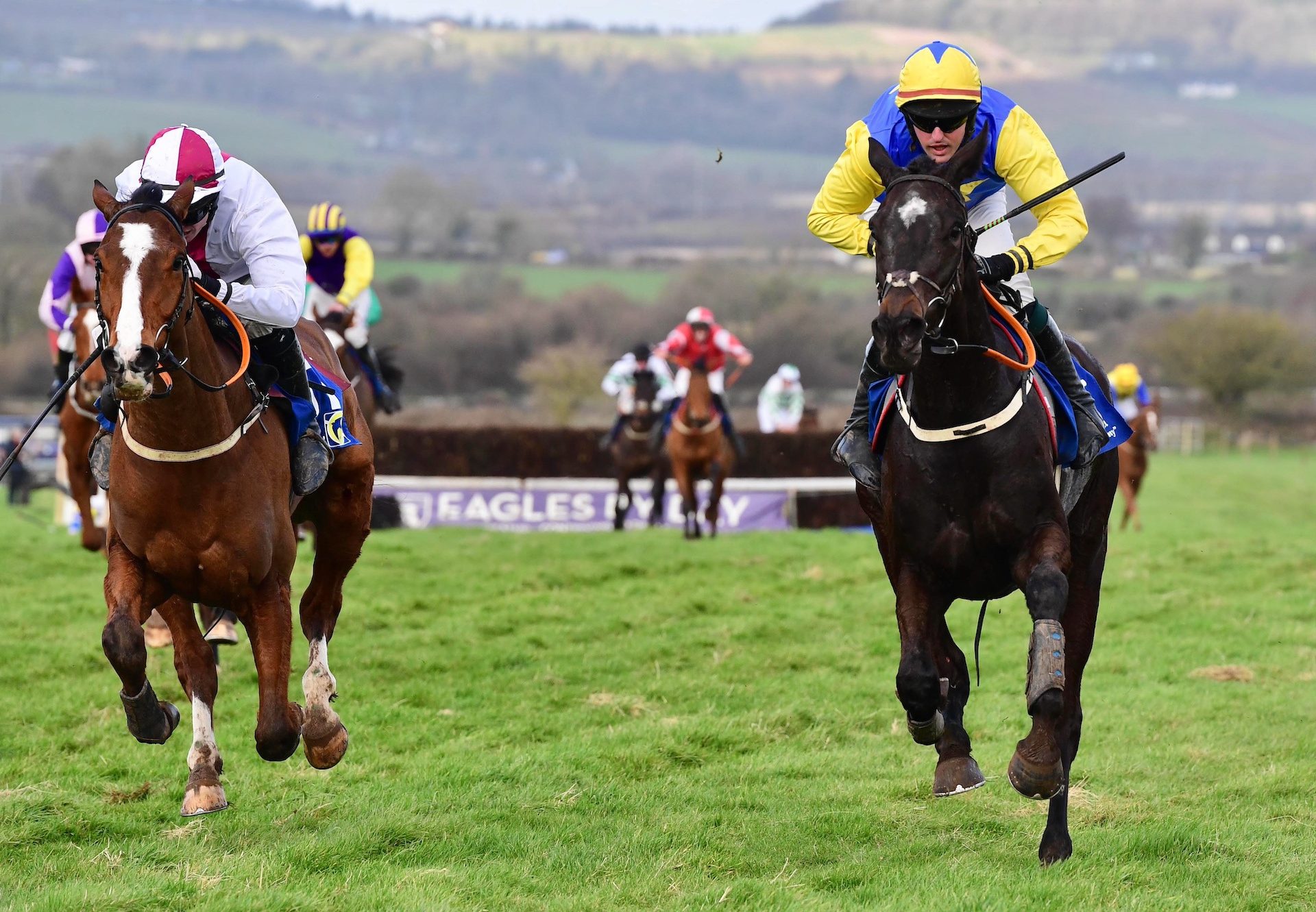 Dream On Daddy (Mahler) Wins On Debut At Ballyvodock