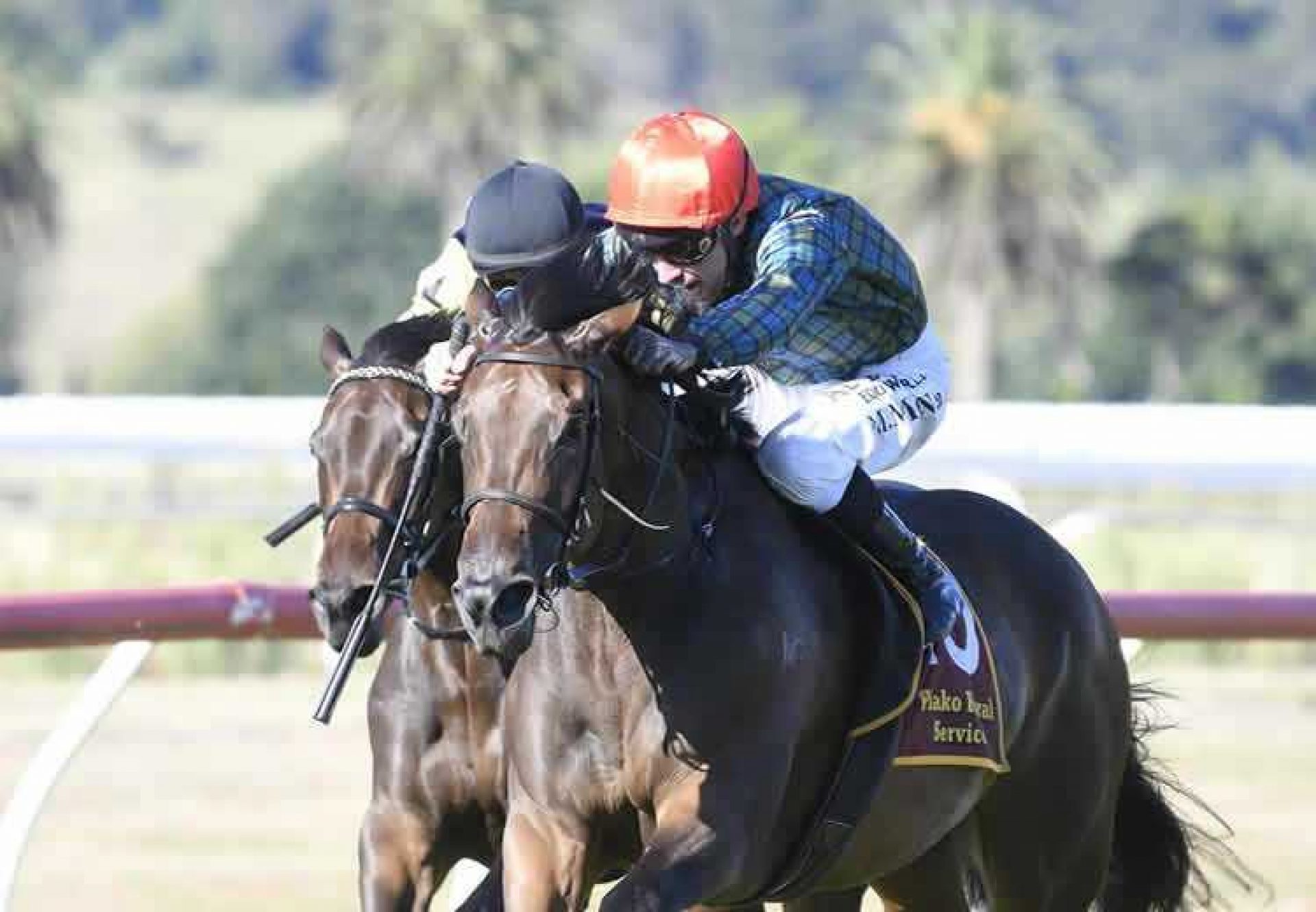 Dubai Gold (Pride of Dubai) Nz 750