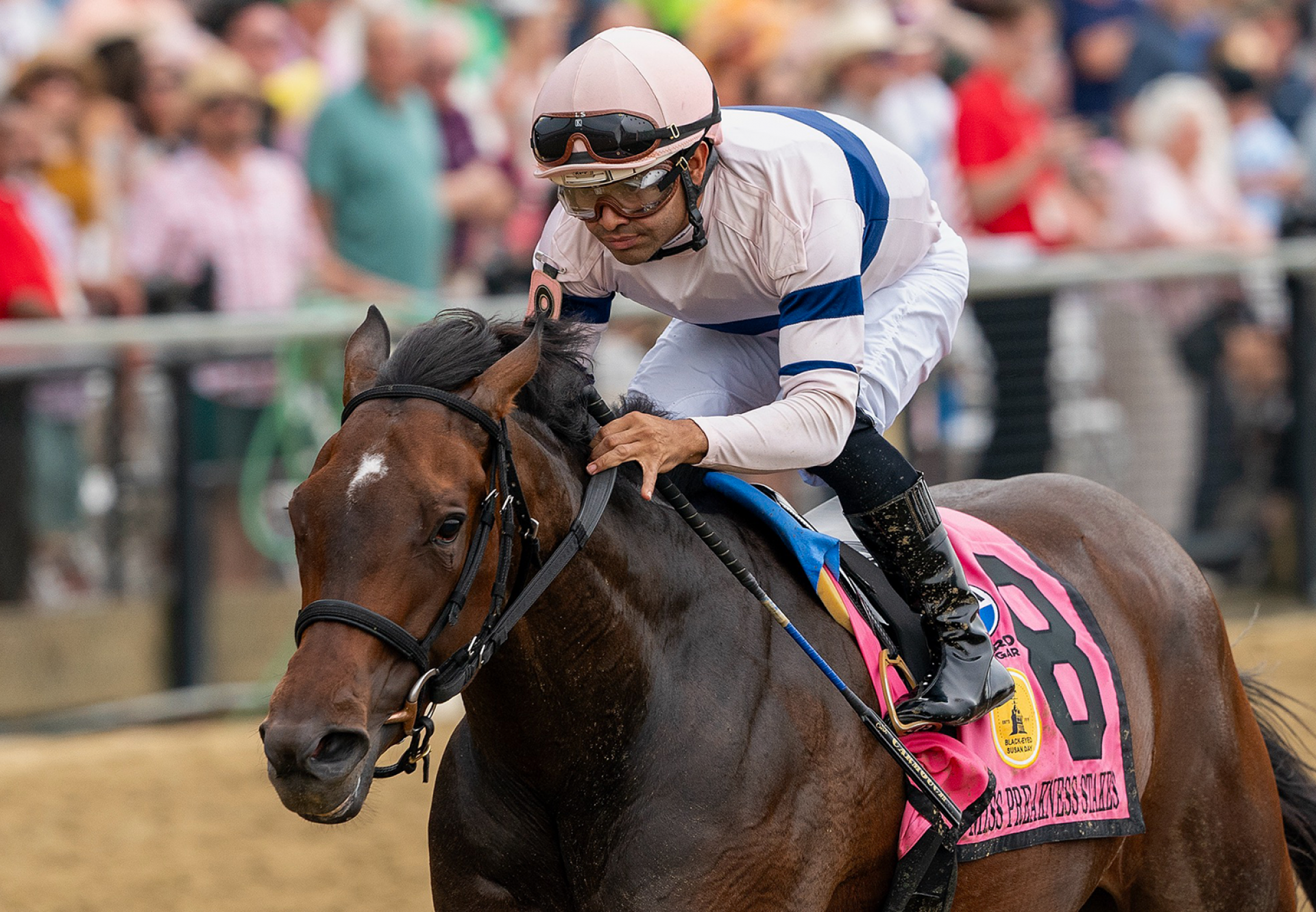 Echo Sound (Echo Town) Wins Miss Preakness