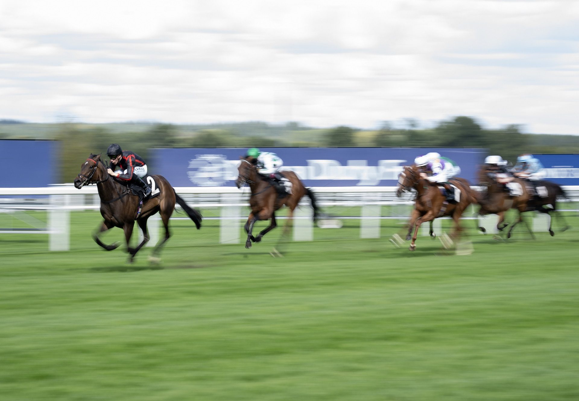 El Vamos (St Marks Basilica) Ascot