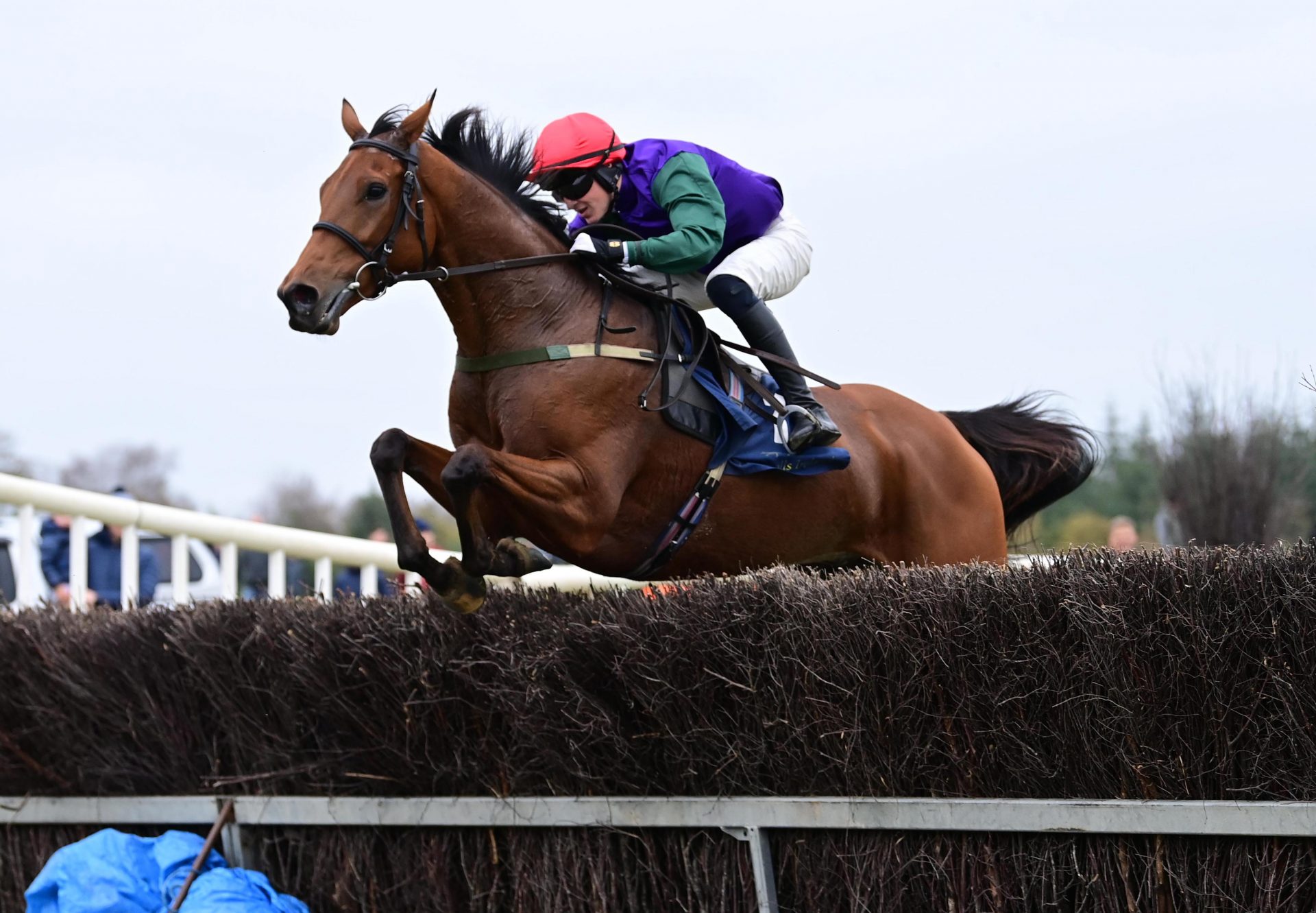 Elusive Dreams Loughrea 39