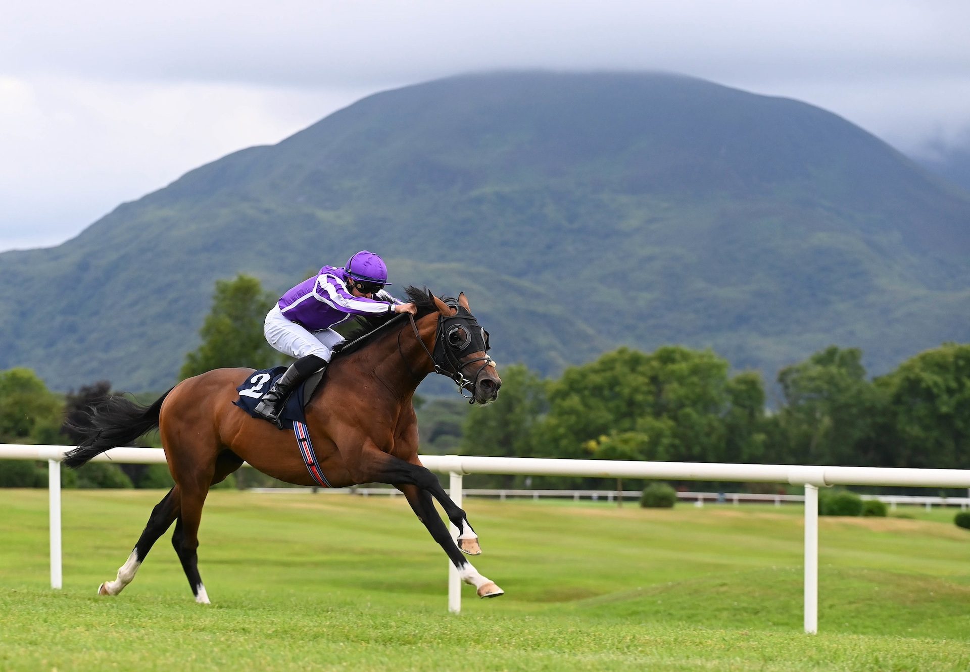 Emphasis (Magna Grecia) Wins His Maiden At Killarney