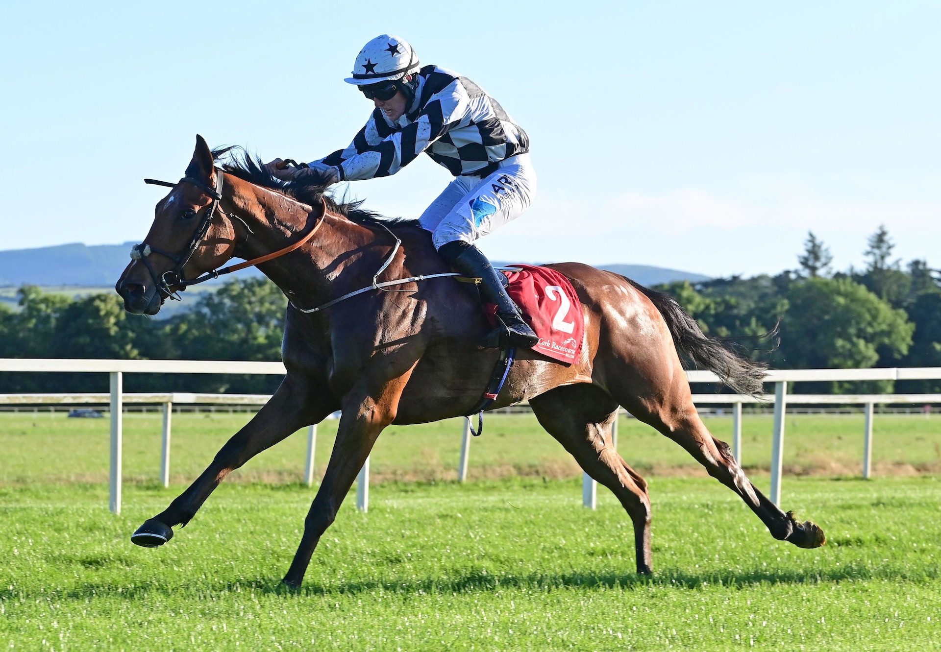 Encanto Bruno (Mahler) Makes A Winning Debut At Cork