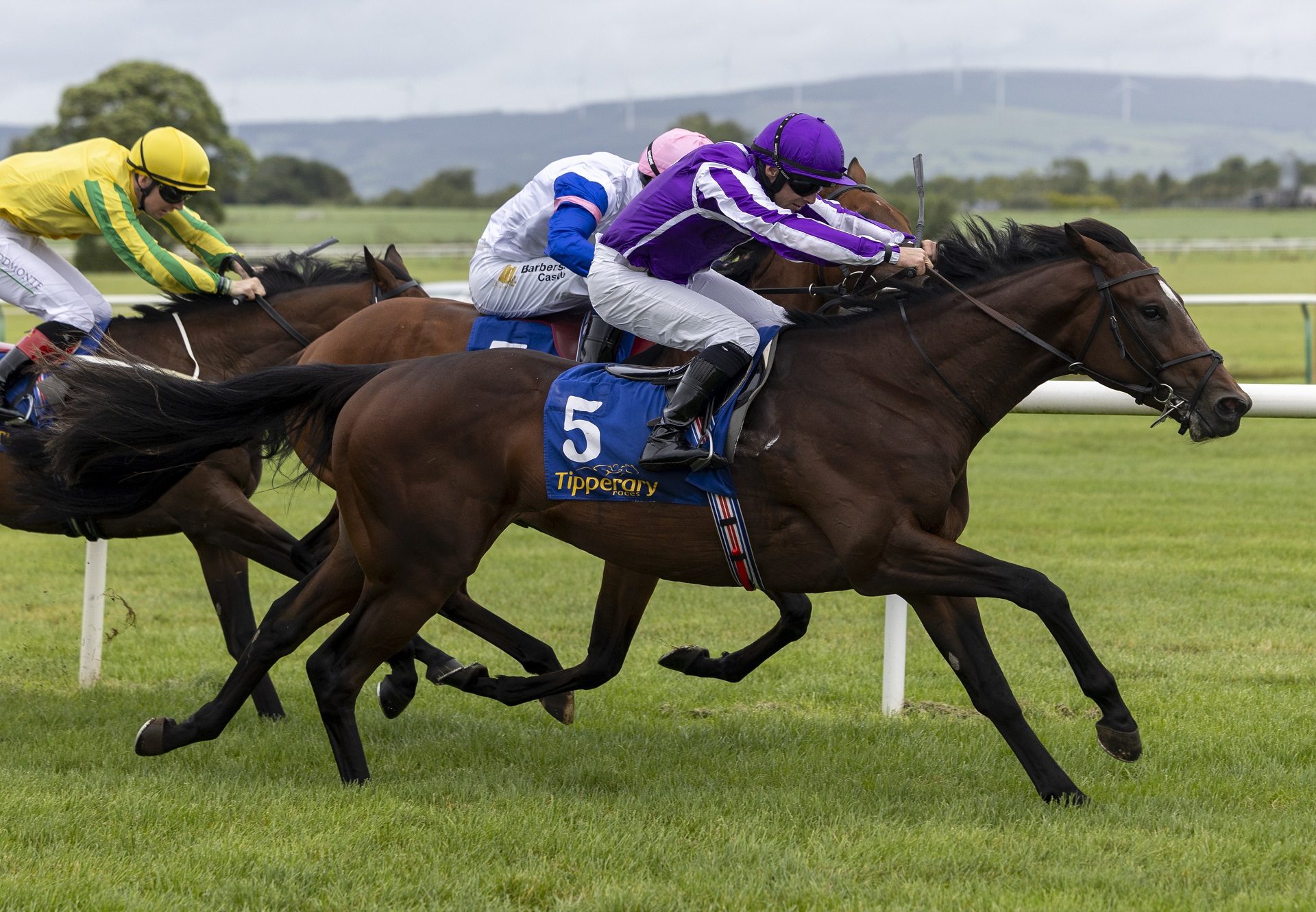 Endorsement (Wootton Bassett) Tipperary