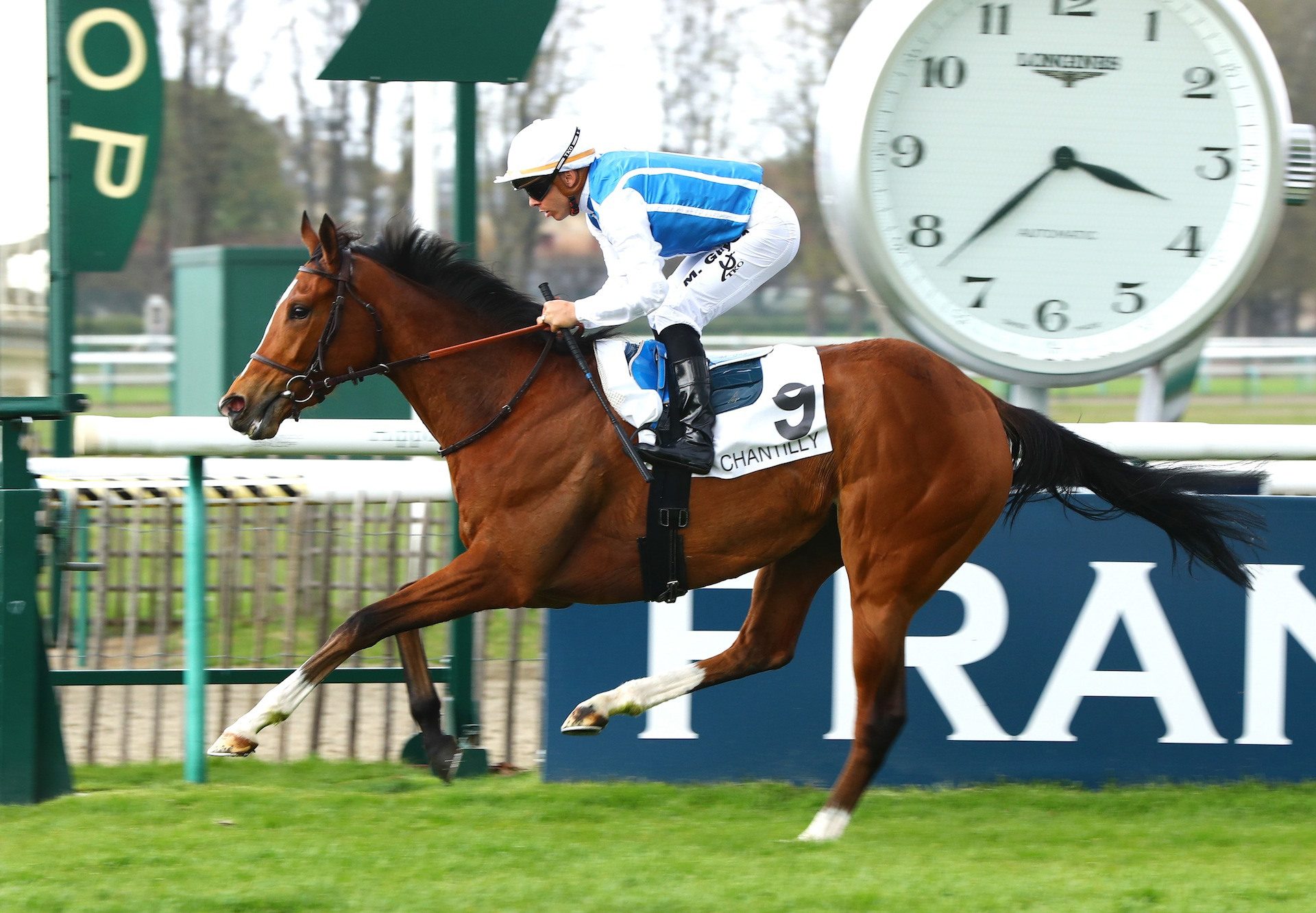 Exciting Filly Matematica (Rock Of Gibraltar) Wins On Her Seasonal Return