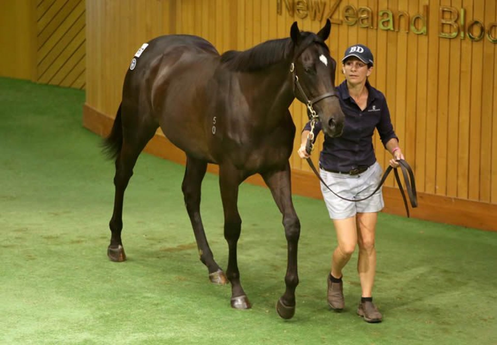 So You Think X Lagertha yearling filly selling for $380,000 at Karak
