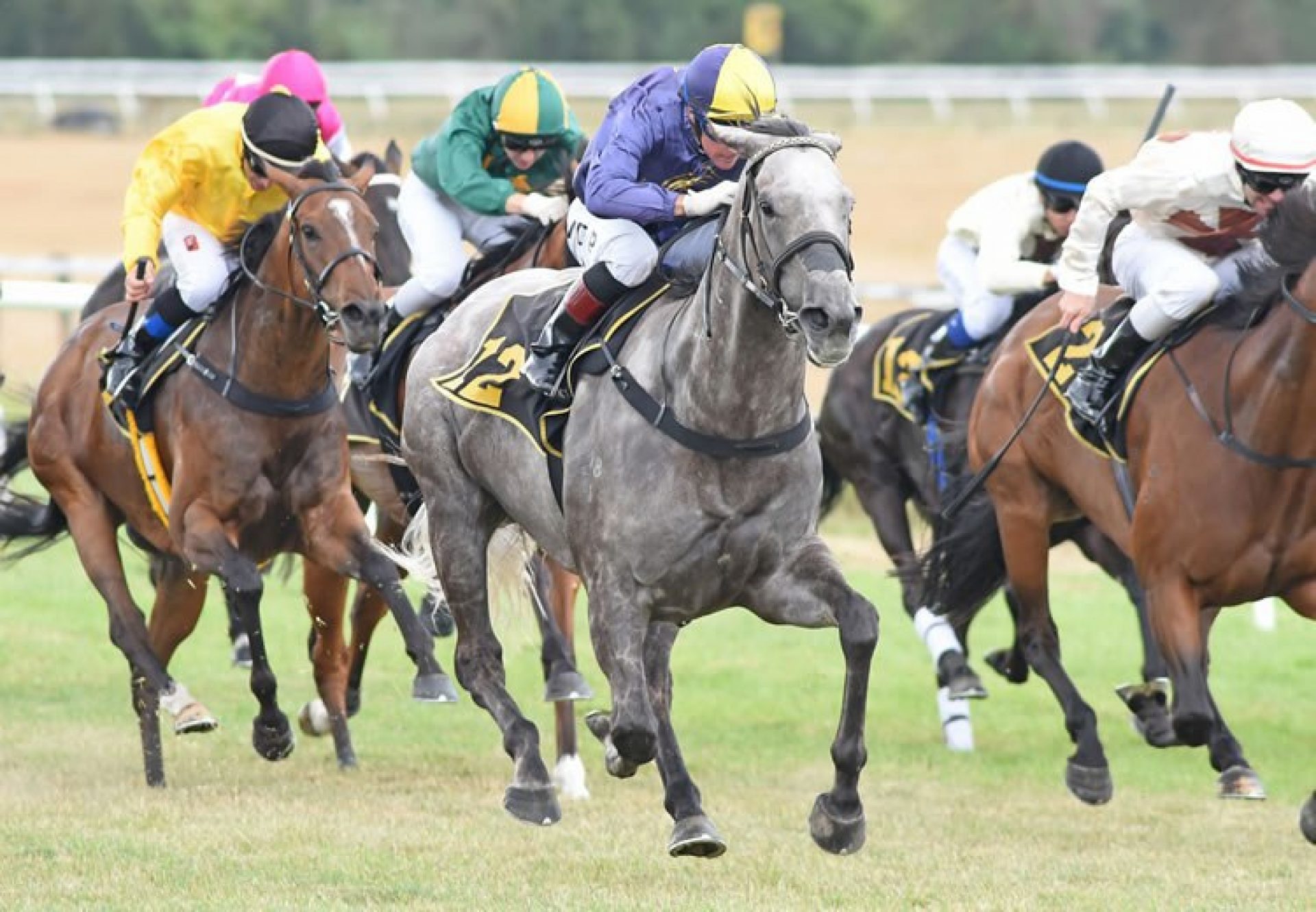Flavigny (Mastercraftsman) winning the Listed WRC/Pope & Gray Contractors Thoroughbred Breeders’ Stakes at Tauherenikau