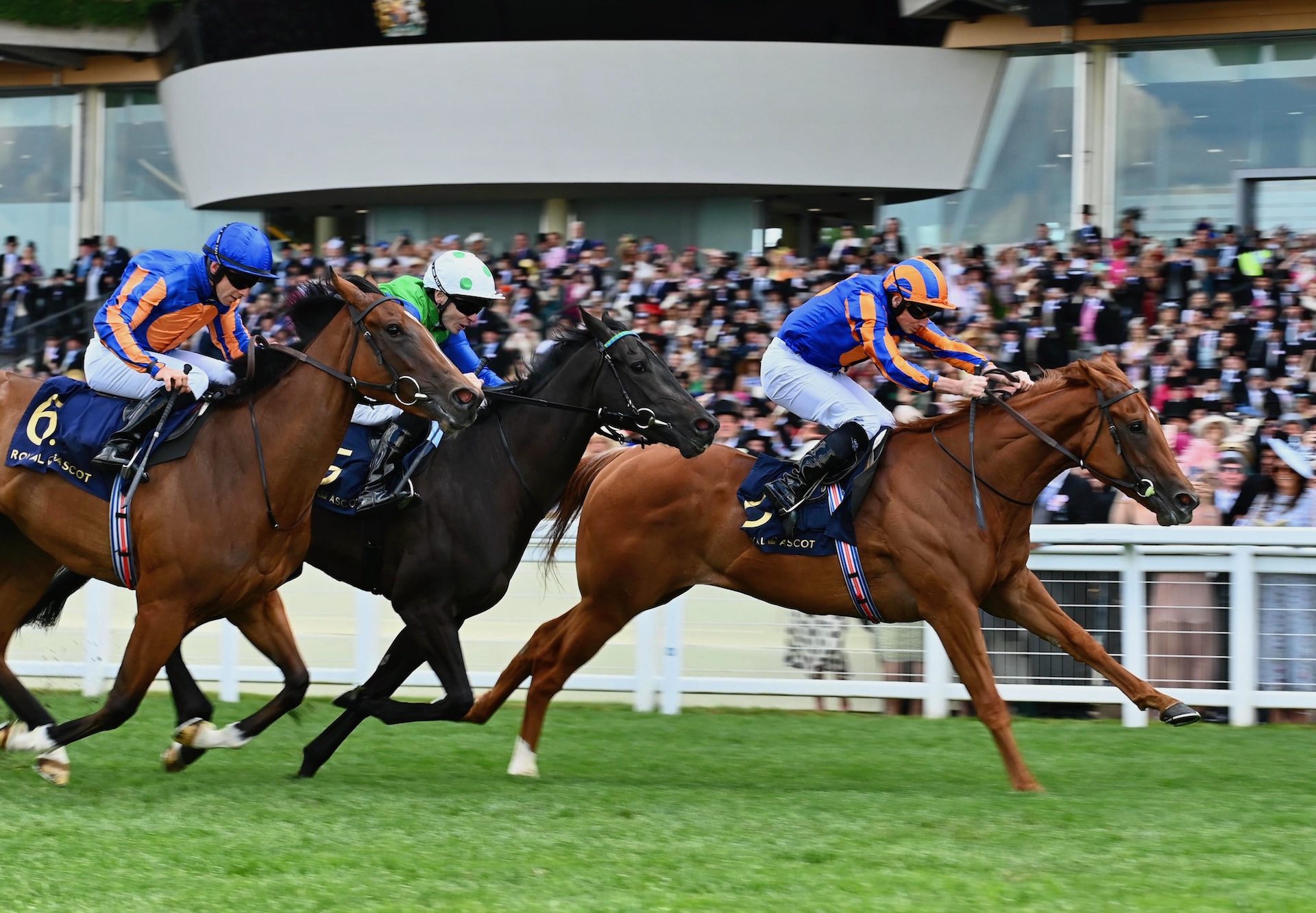 Fairy Godmother (Night of Thunder) Wins The Group 3 Albany Stakes At Royal Ascot