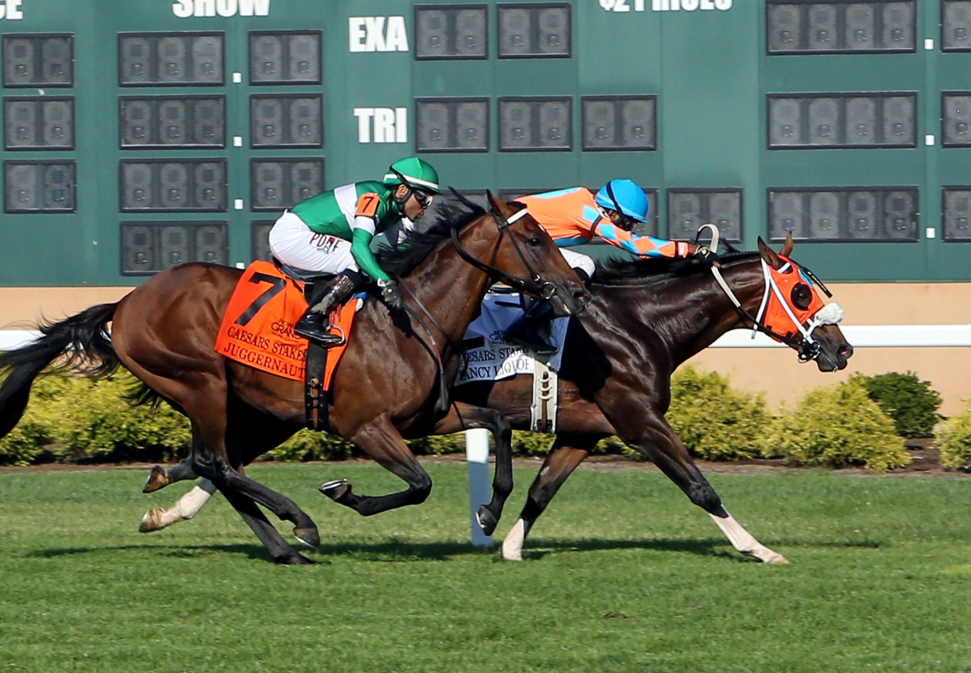 Fancy Liquor (Lookin At Lucky) Winning Caesars Stakes
