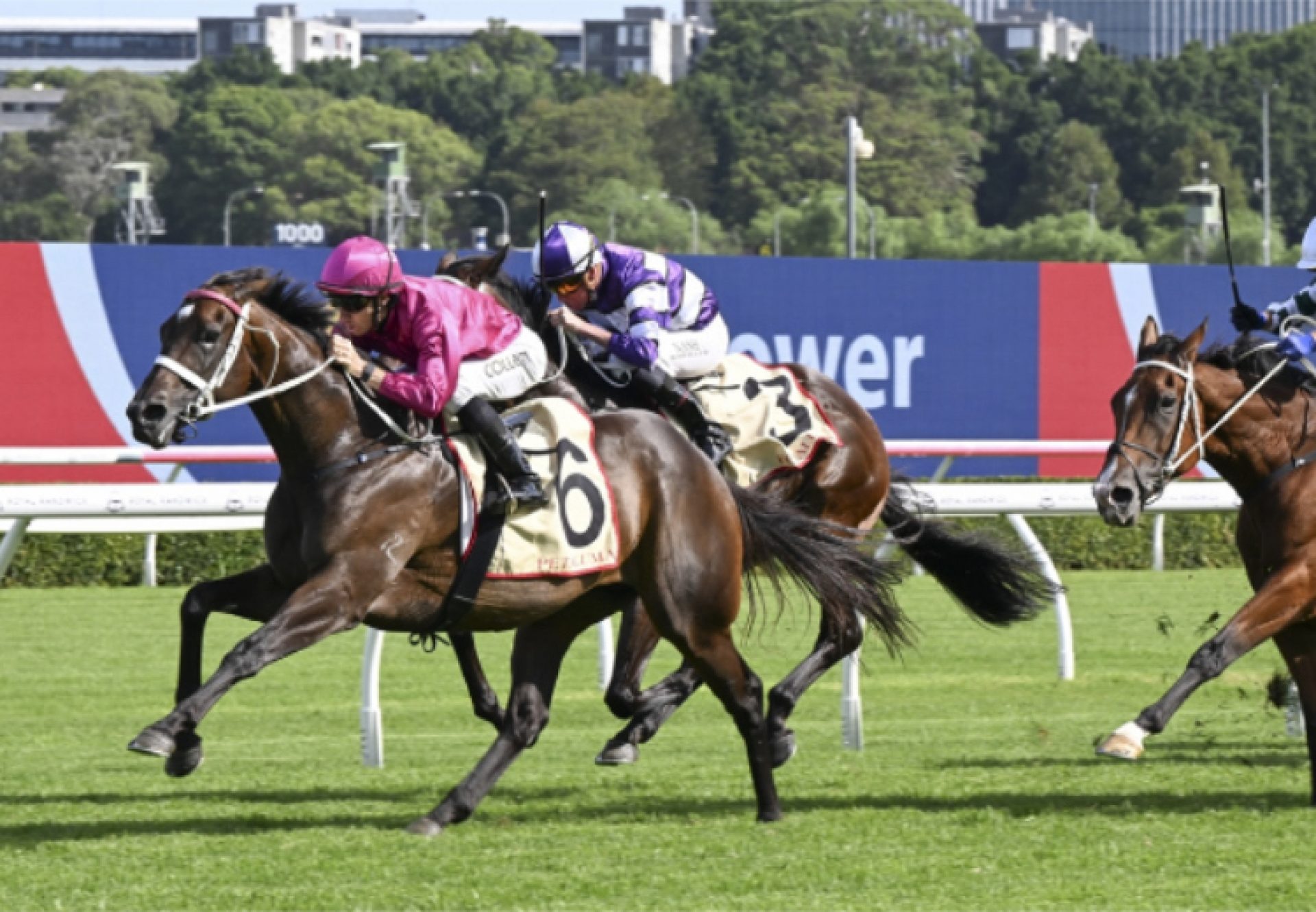 Fangirl Apollo 2025 750