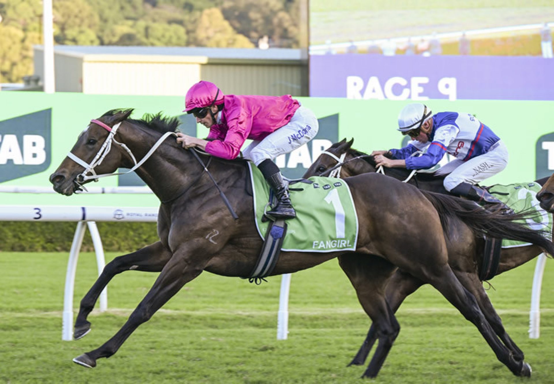 Fangirl Queen Of The Turf 750