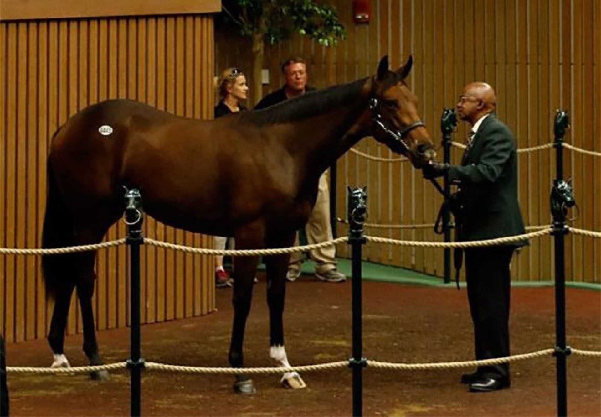 Fastnet Rock Keeneland