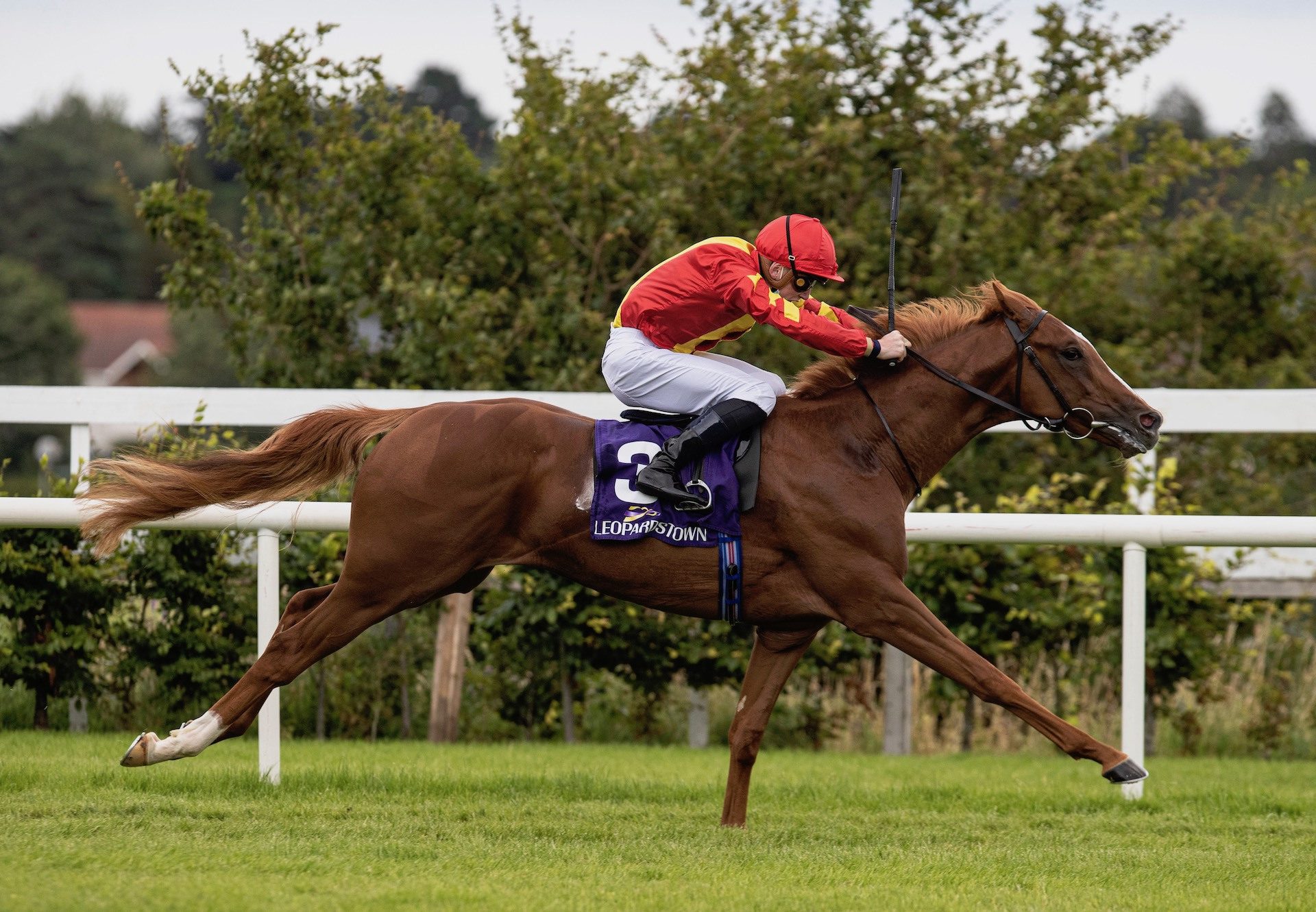 Fernando Vichi (Australia) Wins Leopardstown Maiden