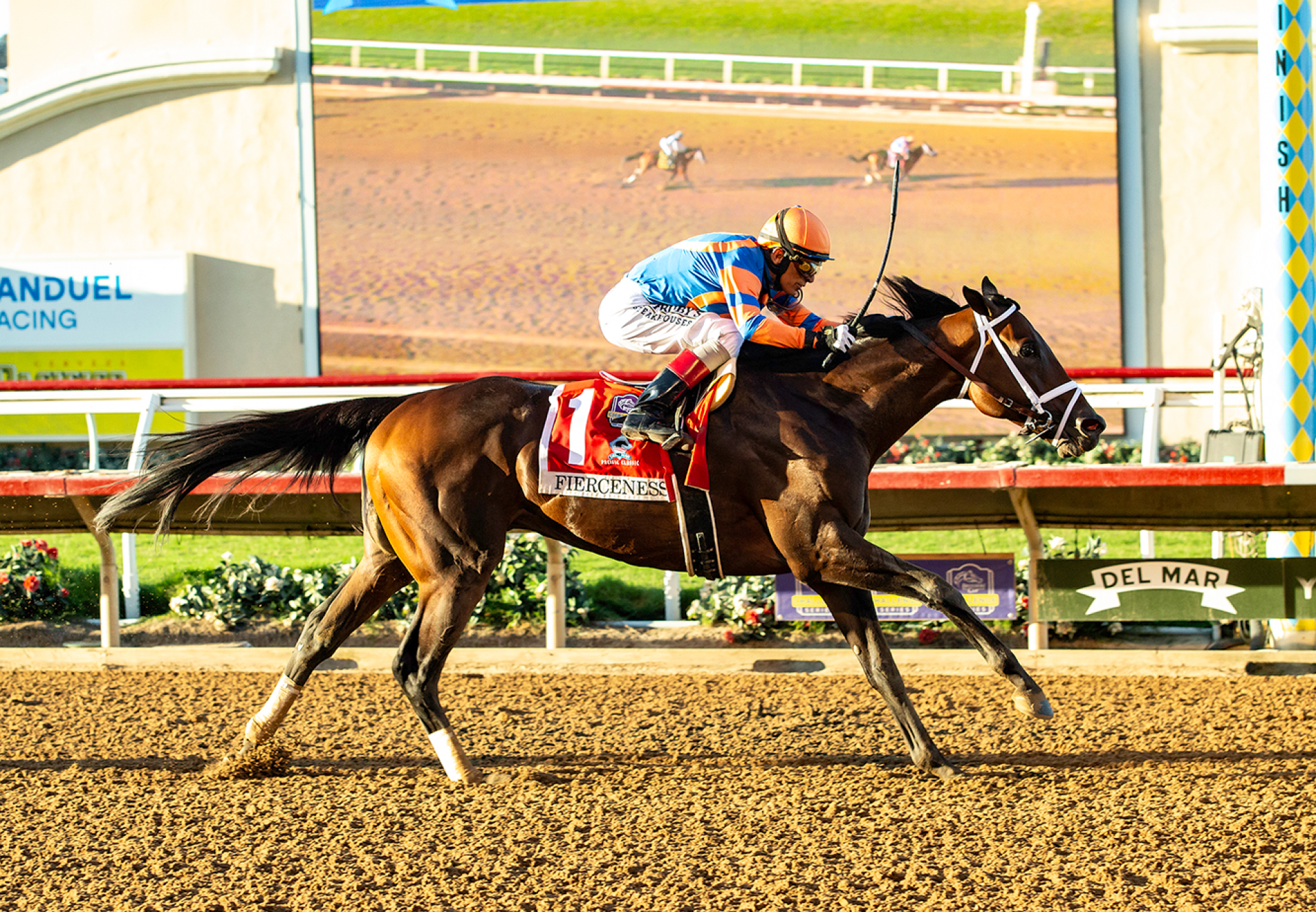 Fierceness Wins Gr 1 Pacific Classic