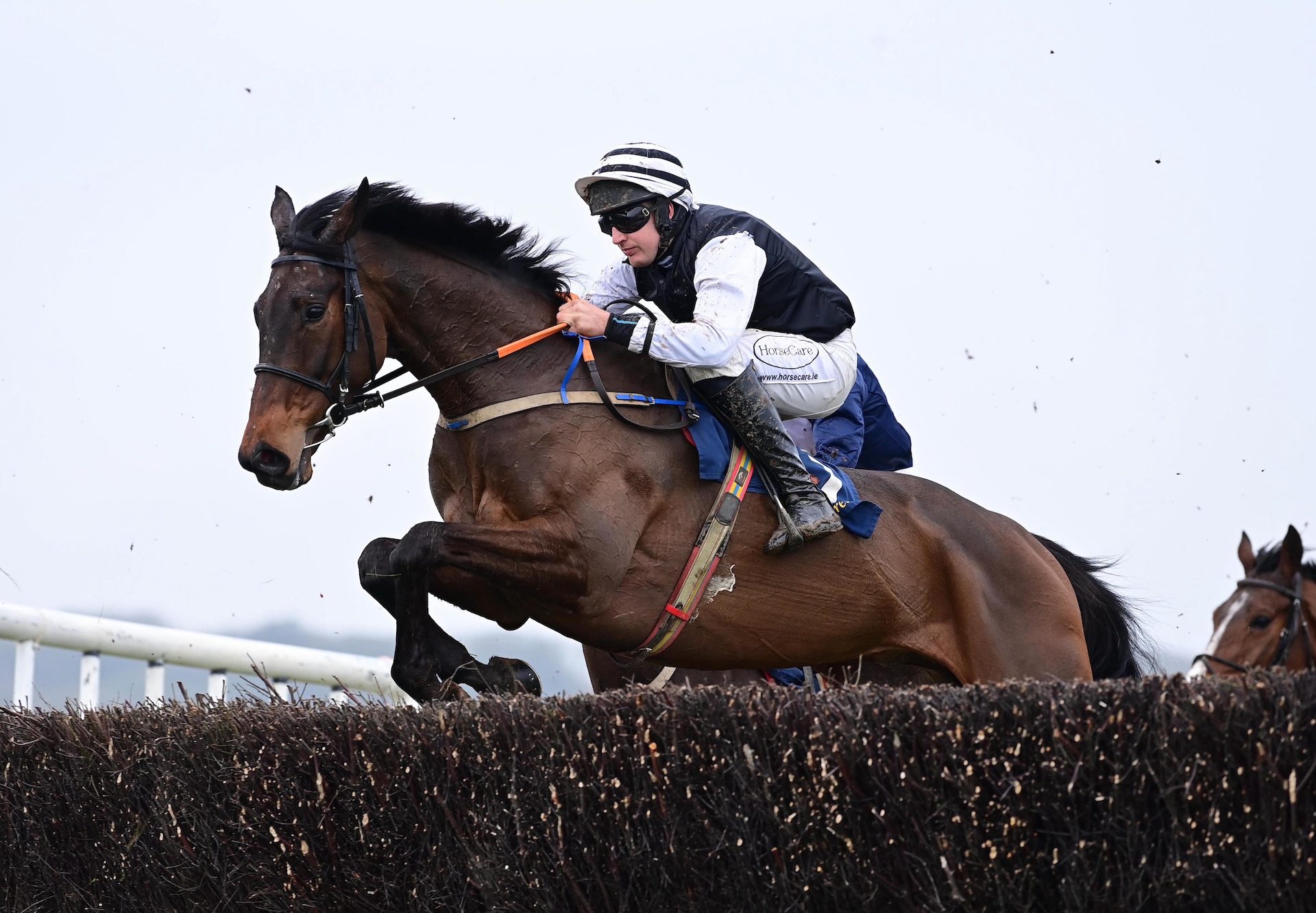 Final Demand (Walk In The Park) Wins On Debut At Lingstown