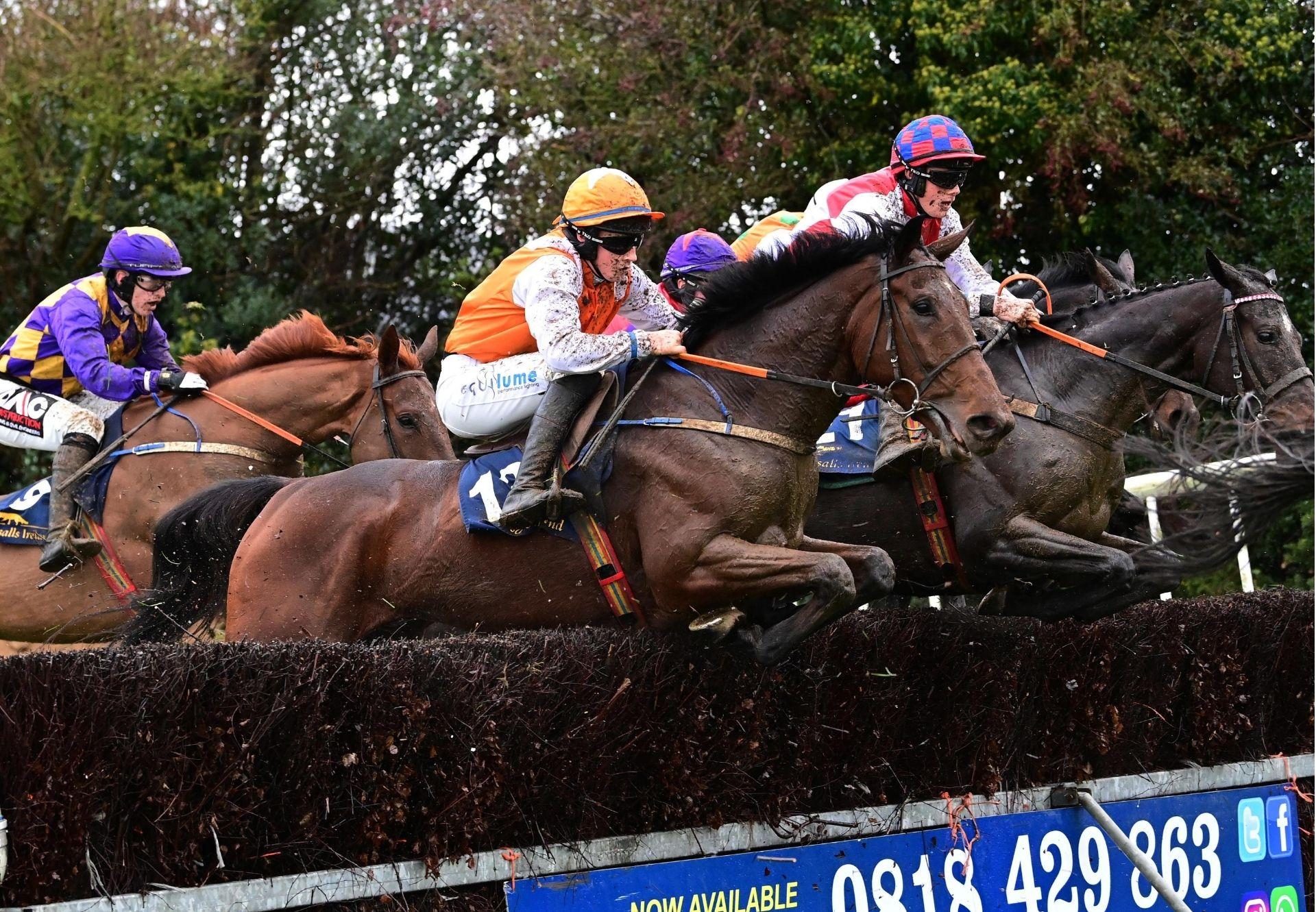 Finisk Pride Wings Of Eagles Tinahely