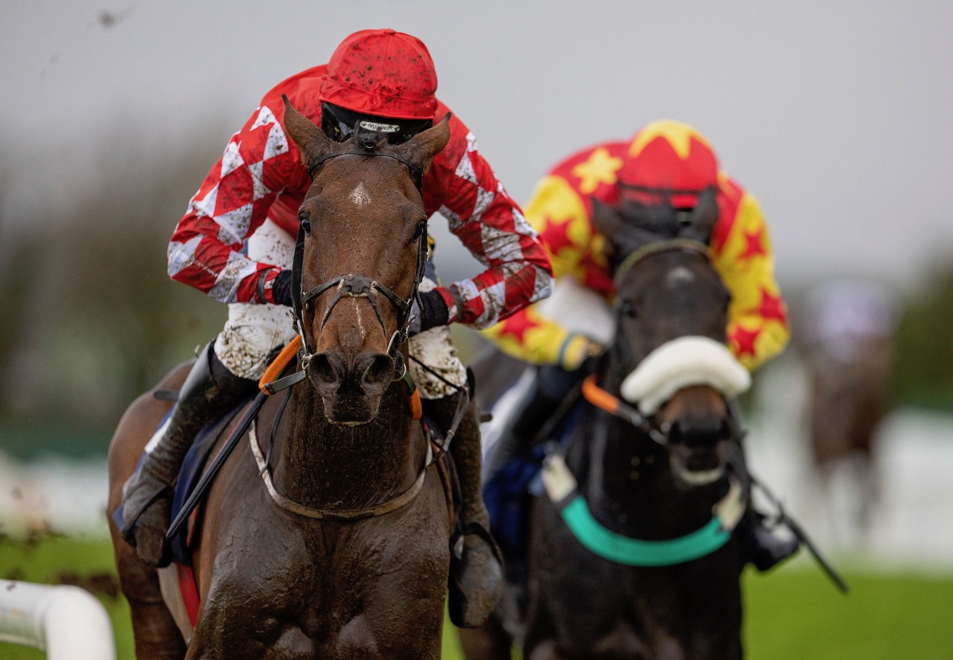 Firm Footings (Walk In The Park) Wins The Bumper At Galway