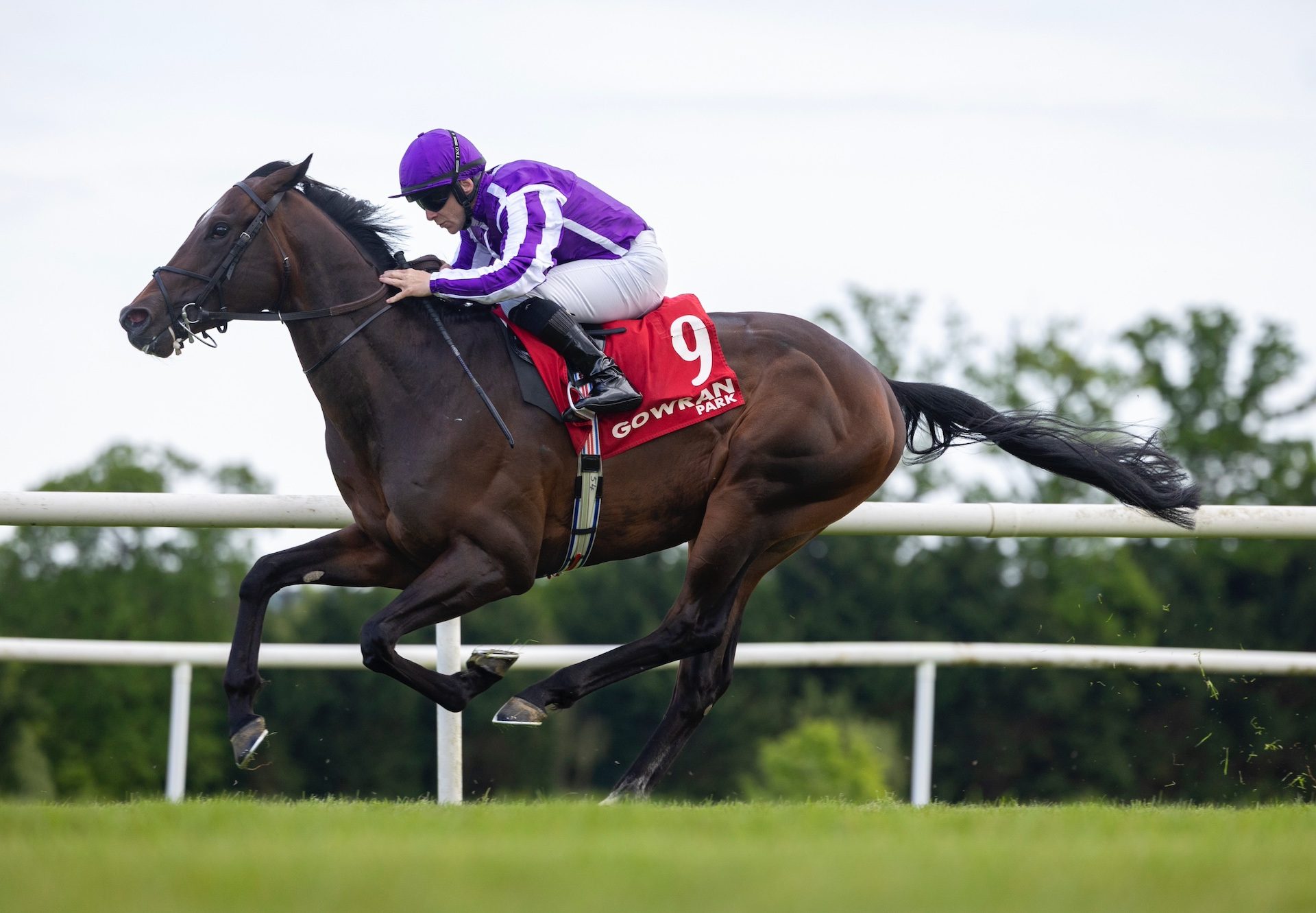 First Wave (Wootton Bassett) Draws Clear At Gowran