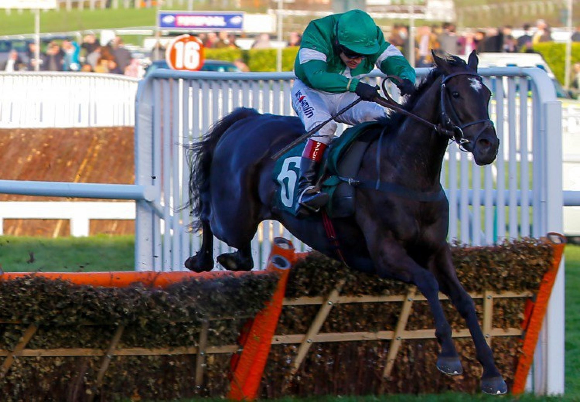 Flying Tiger (Soldier Of Fortune) winning at Cheltenham