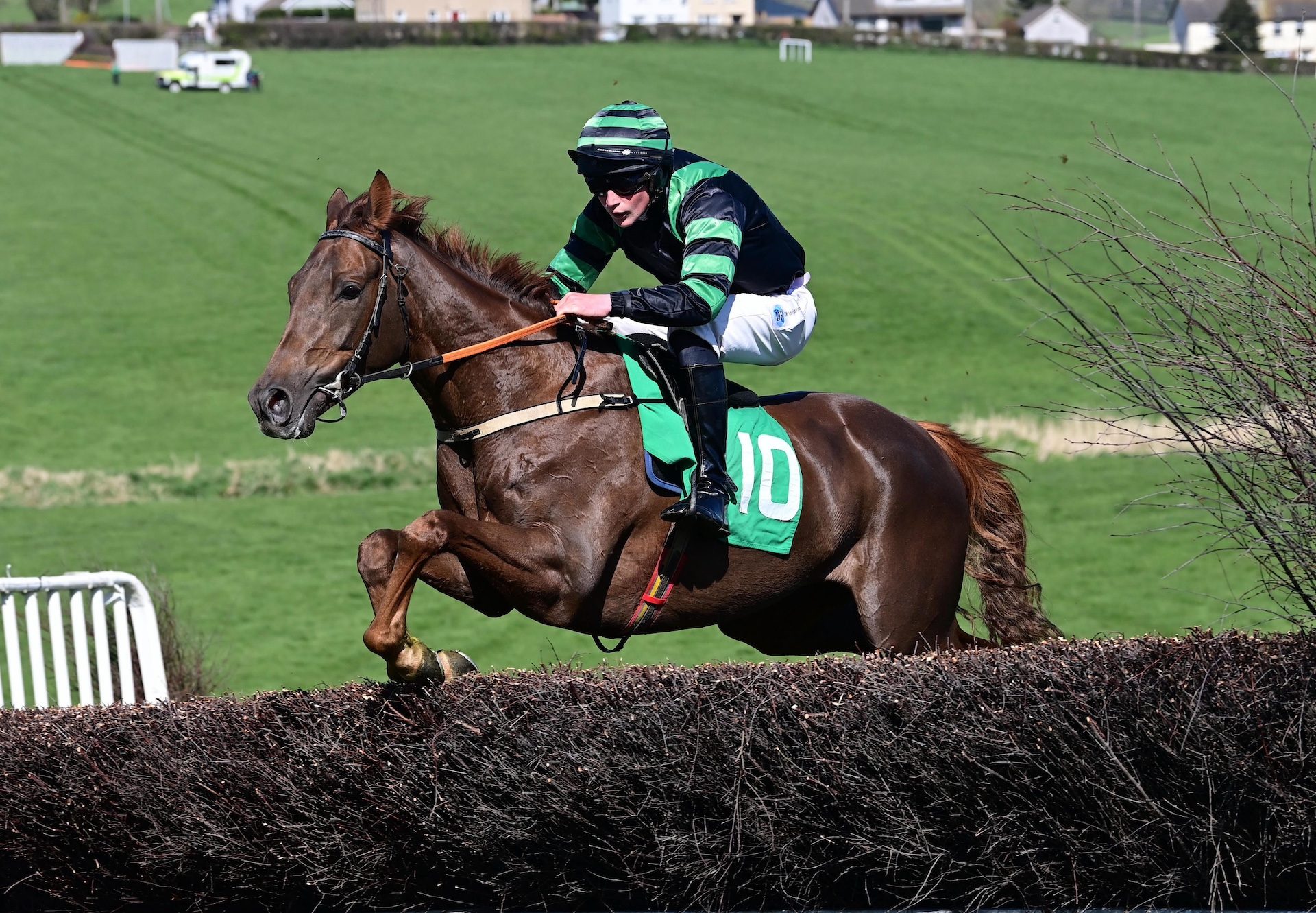 Freshers Week (Crystal Ocean) Wins The 4 Yo Maiden At Taylorstown