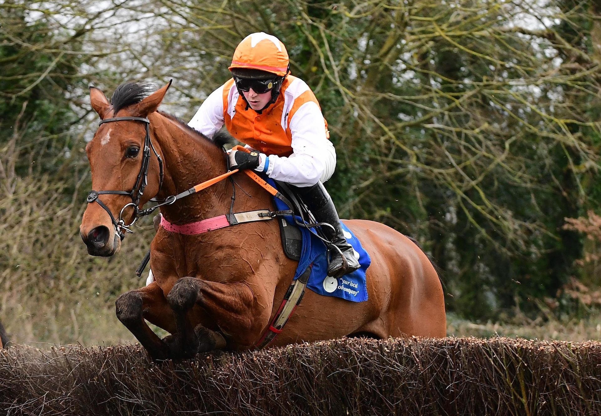 Future Prospect (Order Of St George) Wins On Debut At Castlelands